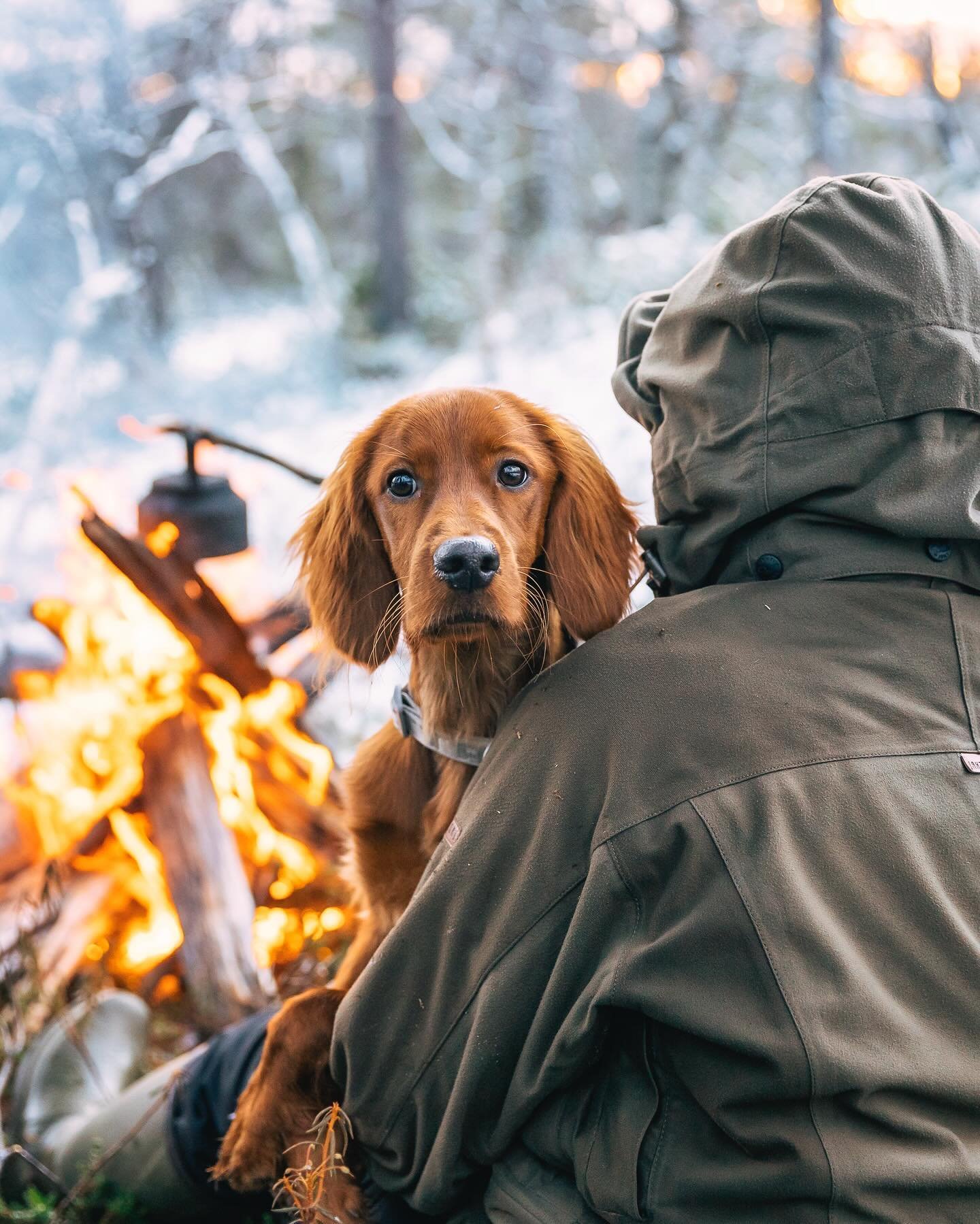 I wish I could stop time when it comes to dogs. It&rsquo;s so hard to believe that this little rascal is already 7 years old today 🥹

Happy birthday Mei ❤️ 

#irlanninsetteri #irishsetter #lapland #finland #lappi #suomi #campingwithdogs #canonphotog