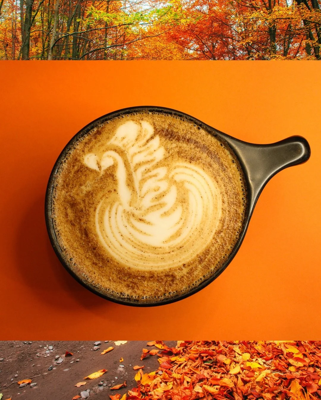 🍂✨ Fall is Officially Brewing at Honest on Sept. 1! ✨🍂

Our Huntsville &amp; Madison caf&eacute;s are rolling out a lineup of cozy fall favorites you won&rsquo;t want to miss:

☕ Gimmie S&rsquo;more &ndash; Warm chocolate, toasted marshmallow, and 