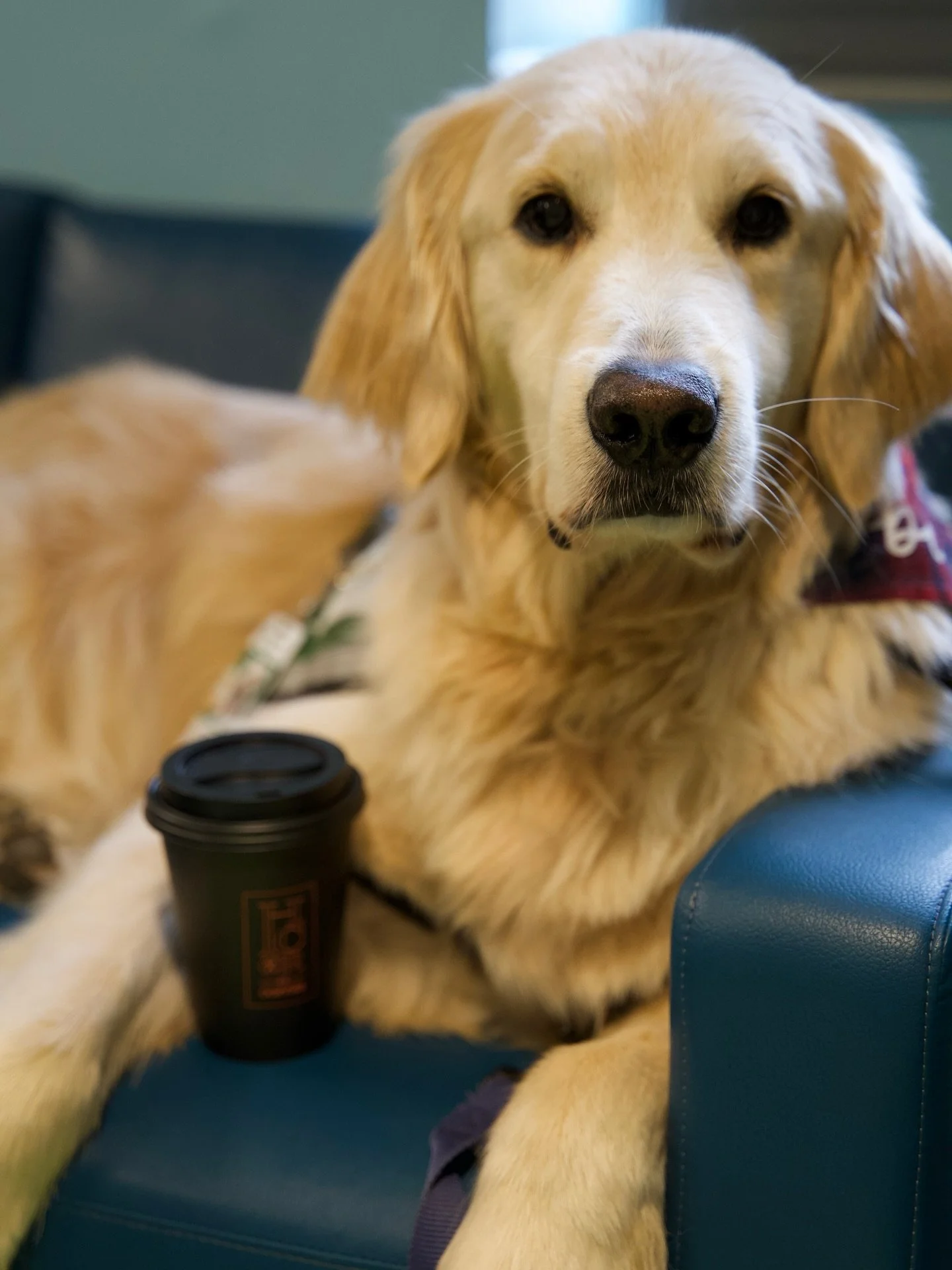 📸 Pictured: The perfect coffee dates. ❤️🐶

This season, a portion of the proceeds from our Citrus Mocha Sleigh drink will go toward supporting @hh_caninesforcoping! You will help bring resources to our local therapy dog program serving @huntsville_