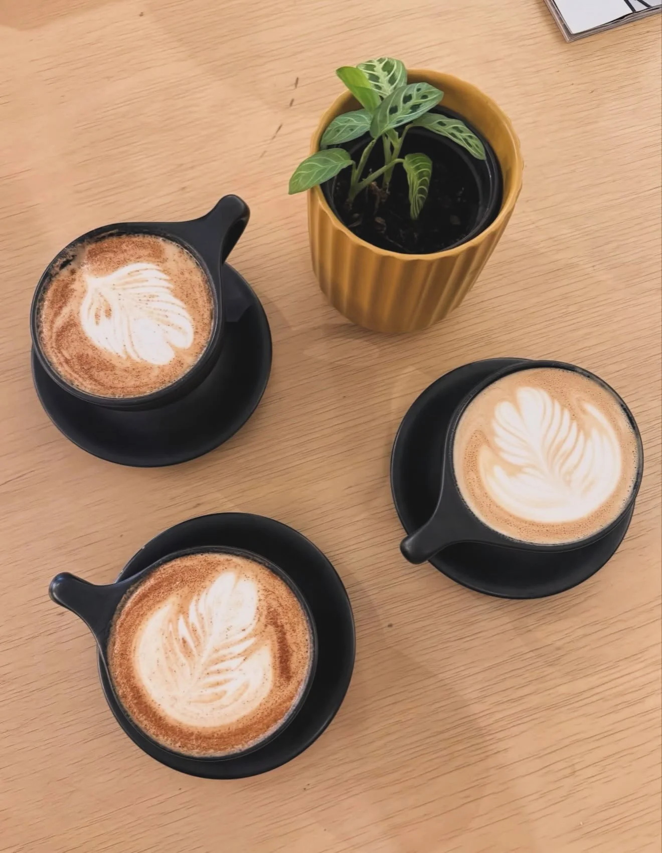 ✨ 🎵 Life could be a dream&hellip; especially when it involves coffee. ☁️ 🎵

Which drink are you grabbing first?

Drop a ☕ if you need a coffee break today! 
 
📸: @jeannie.elkins