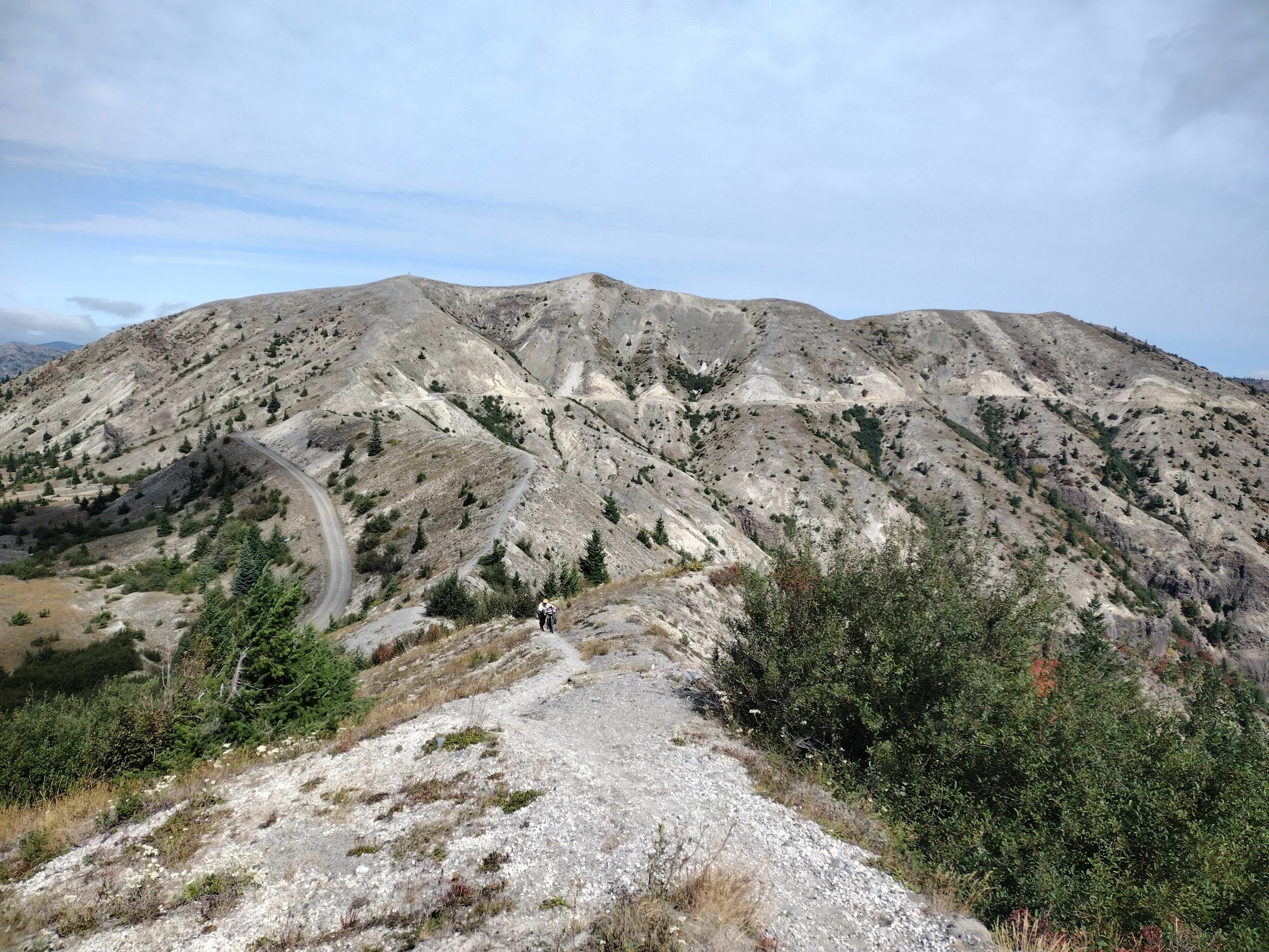 processed_1000012082.jpg
