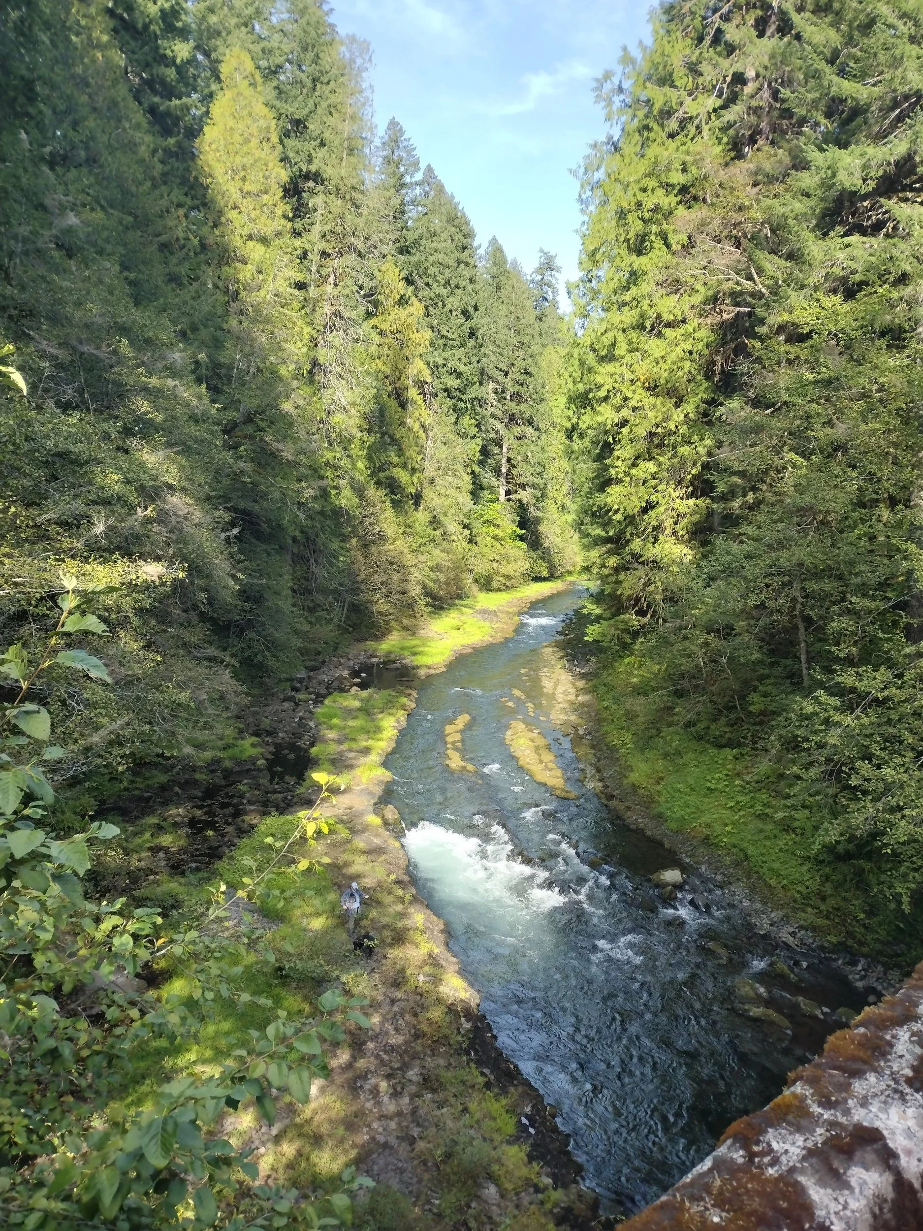 processed_1000012109.jpg