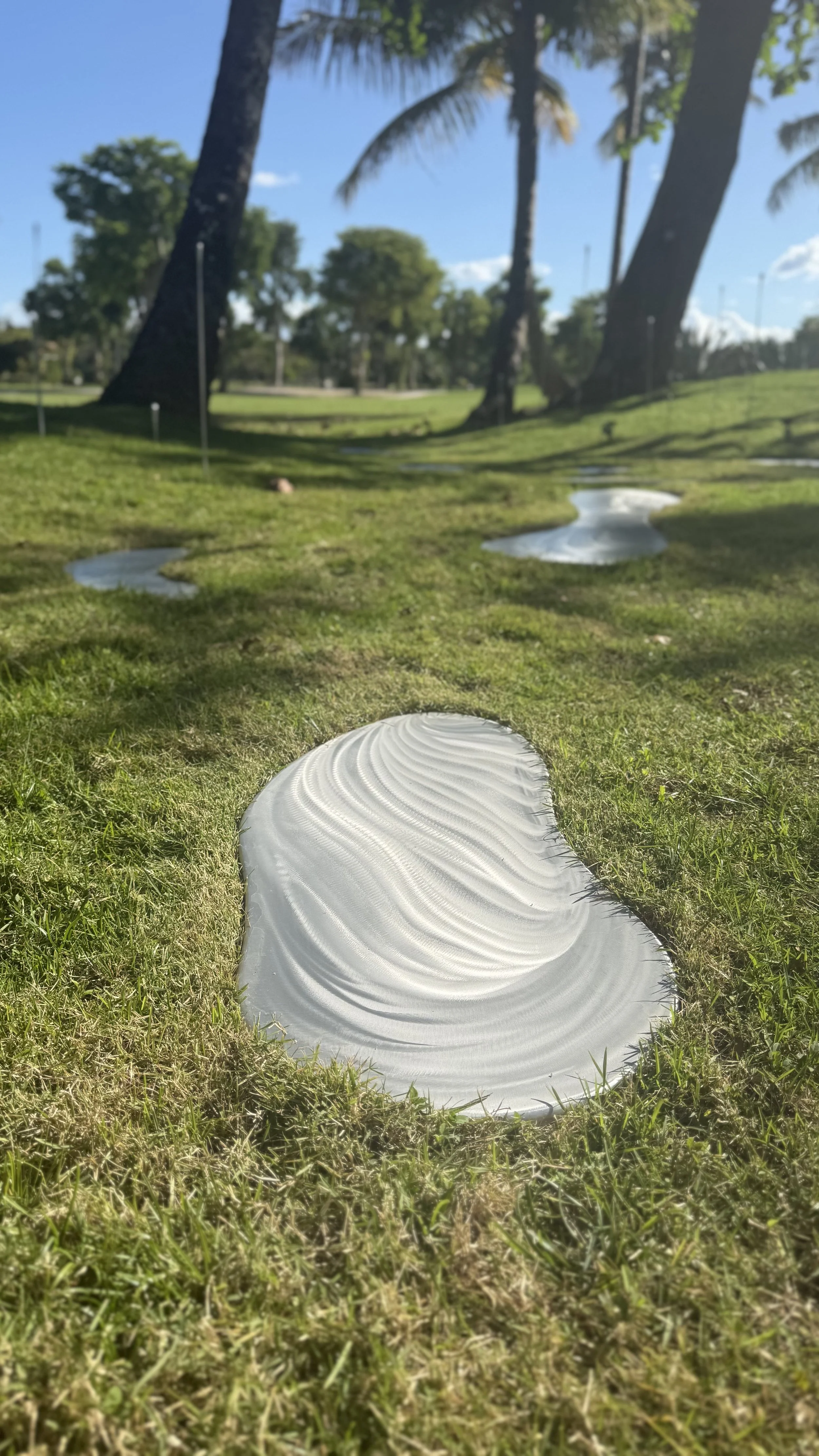 puddle zoom 6 copy.jpg