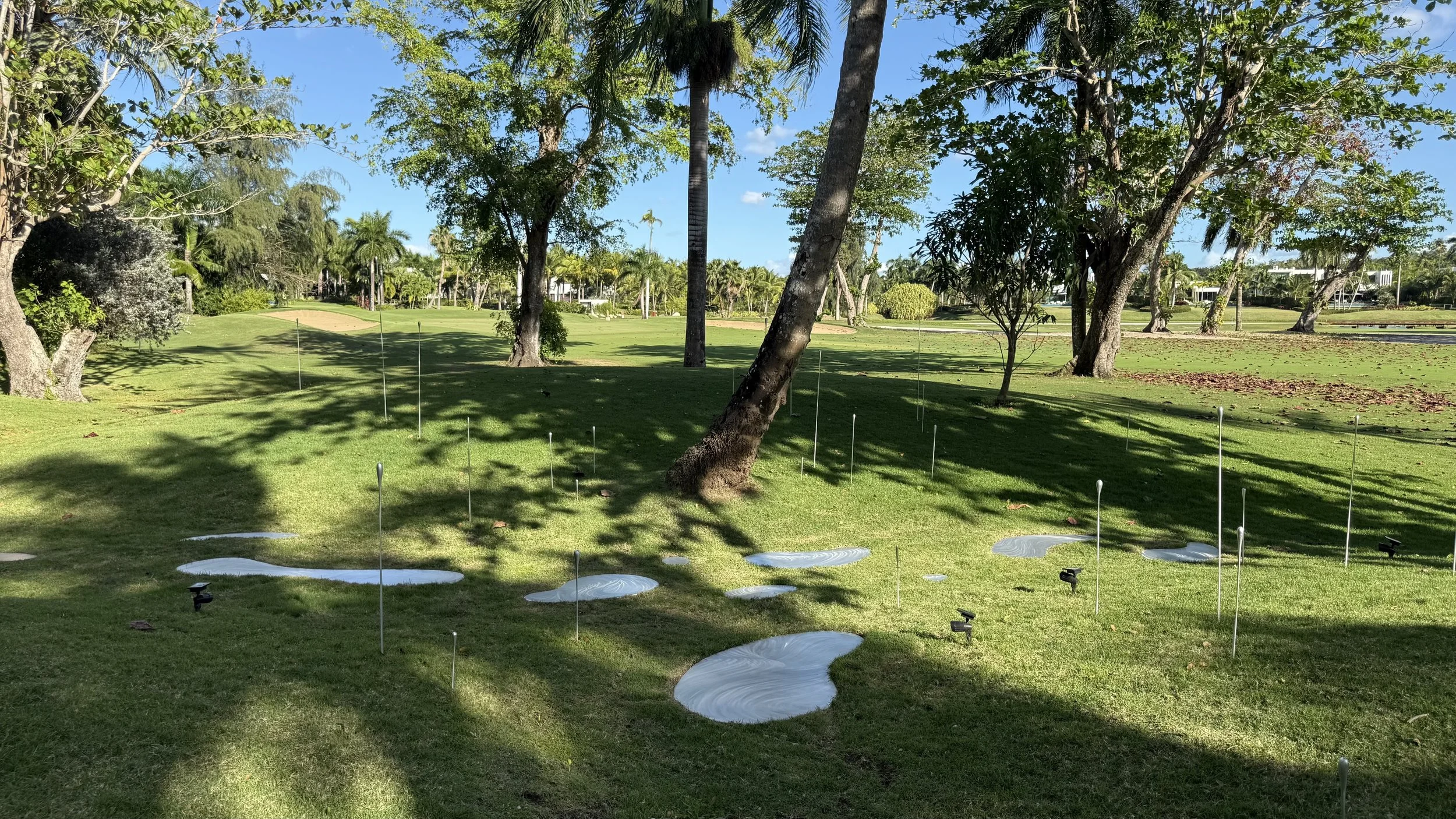 puddle overview copy.jpg