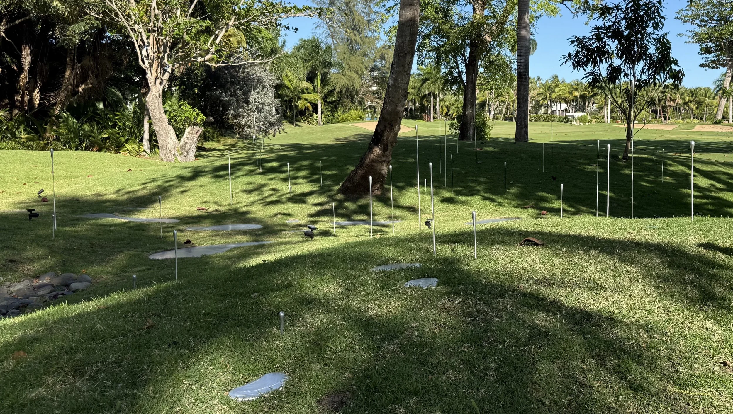 landscape 7- main website phot.jpg