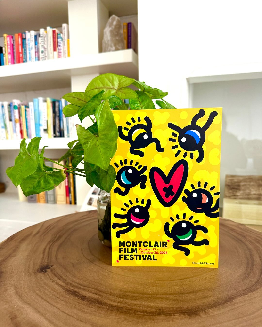 2025 Montclair Film Festival