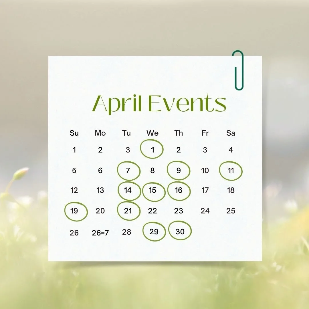 As April unfolds and spring comes into full bloom, Loopwell welcomes Stress Awareness Month with a curated lineup of experiences designed to support calm, clarity, and balance. 

🪷4/1 Breathwork with @spirit11ouse @iambillyward @juliemariechavez 

?