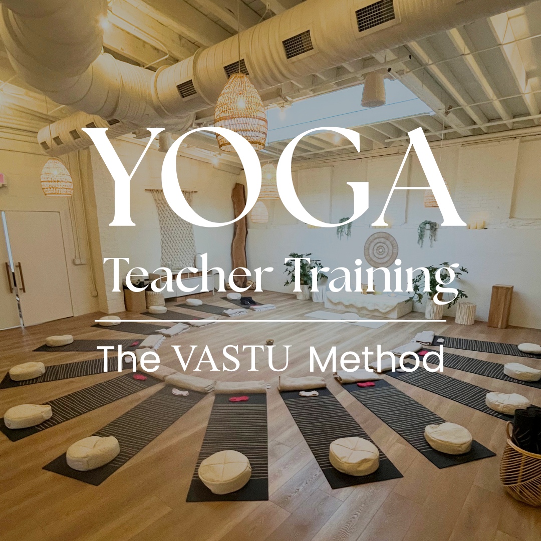 Yoga Teacher Training: Program Begins