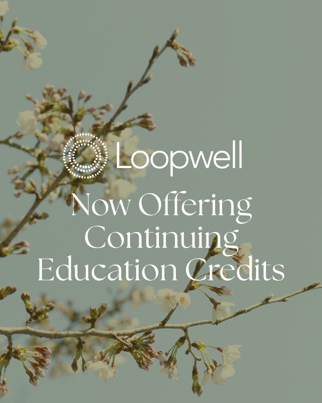Continuing education credits are now part of the Loopwell experience, thanks to our partnership with @learnatpinnacle.

Pinnacle was founded by three women physicians, @nataliecrawfordmd, @dr.pamelamehta and @drrupawong, who built it around a shared 