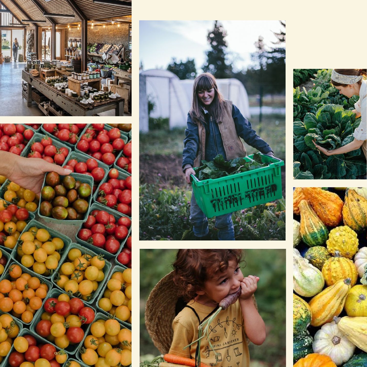 Grandad's Farm Stop Branding brand design modern rustic farming produce farm stand local produce farm to table