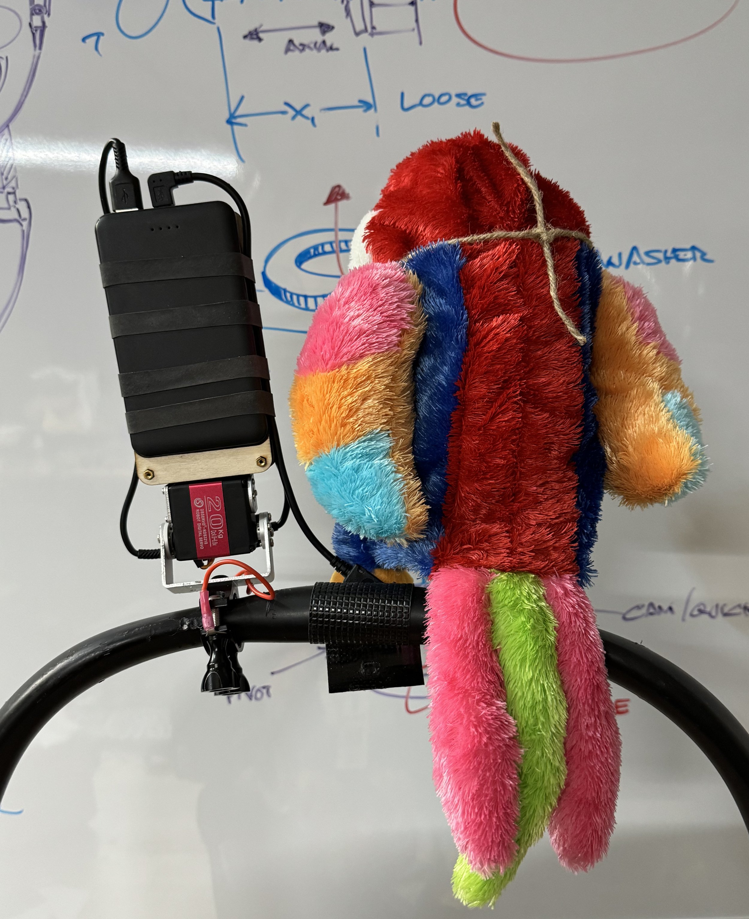 petey back side.jpg