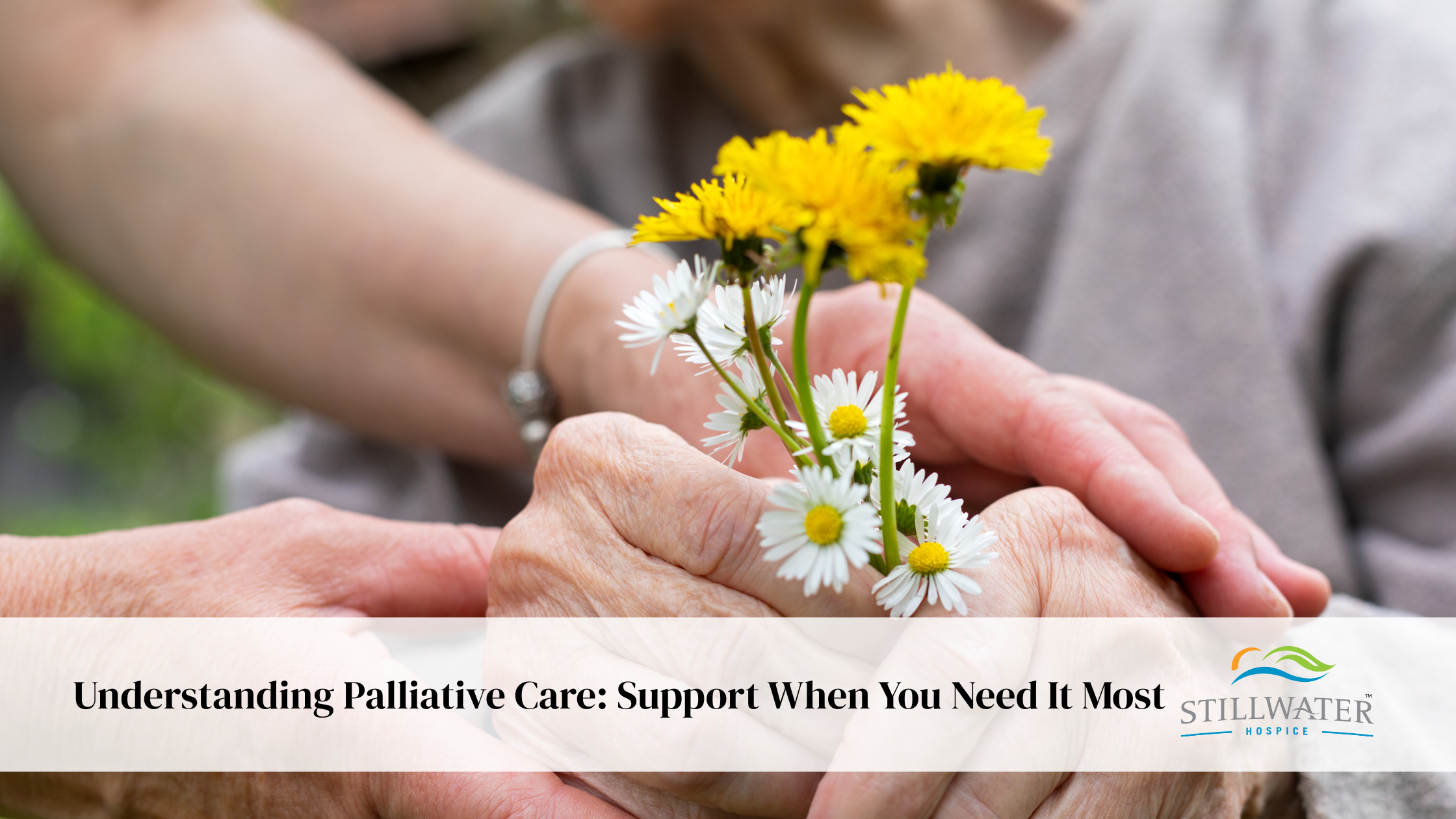 Understanding Palliative Care