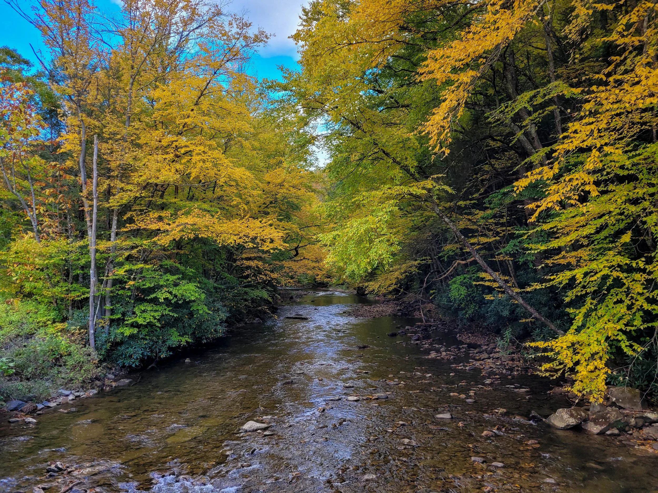 20221008_164756.jpg