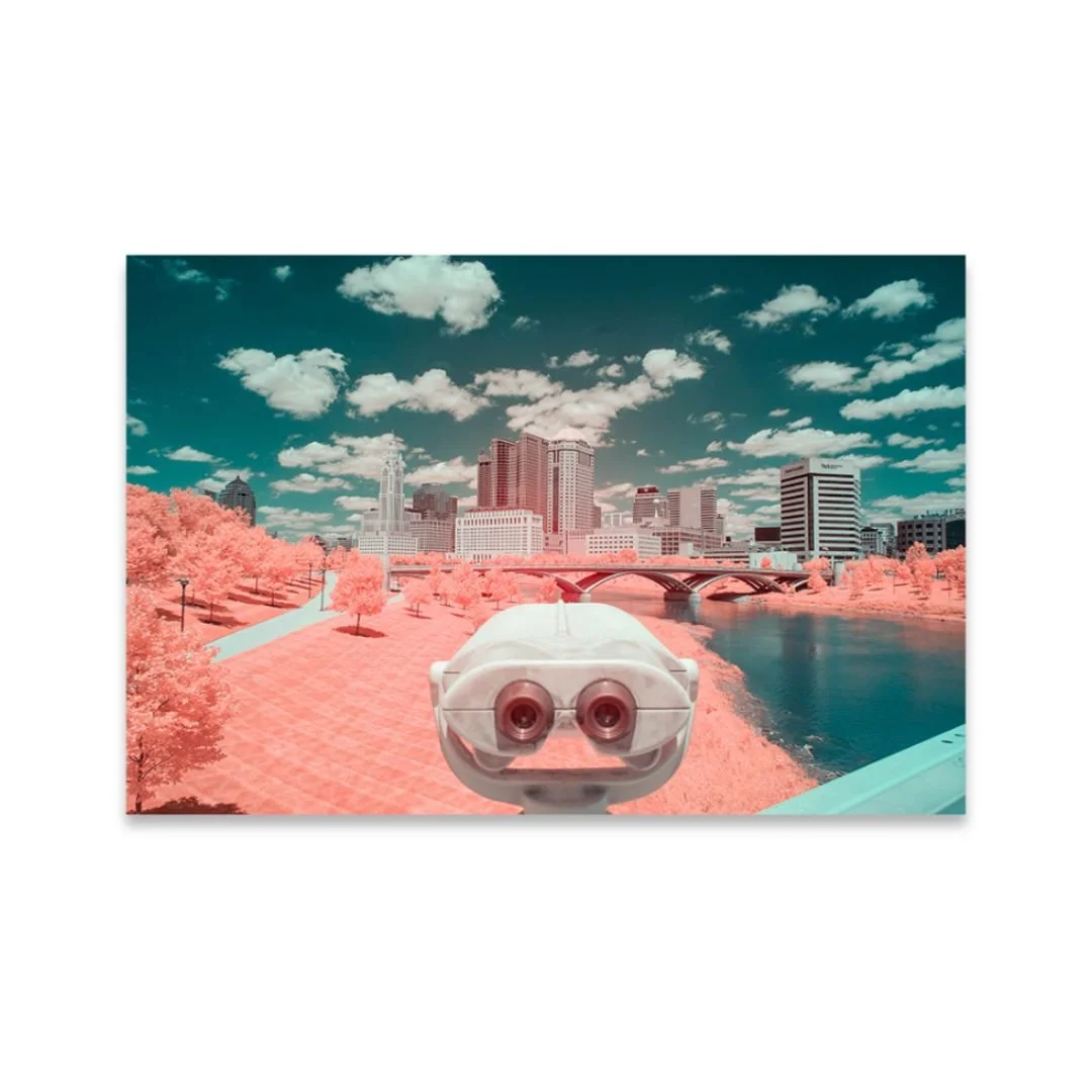 Aaron Sheldon, Get a Good Look.jpg