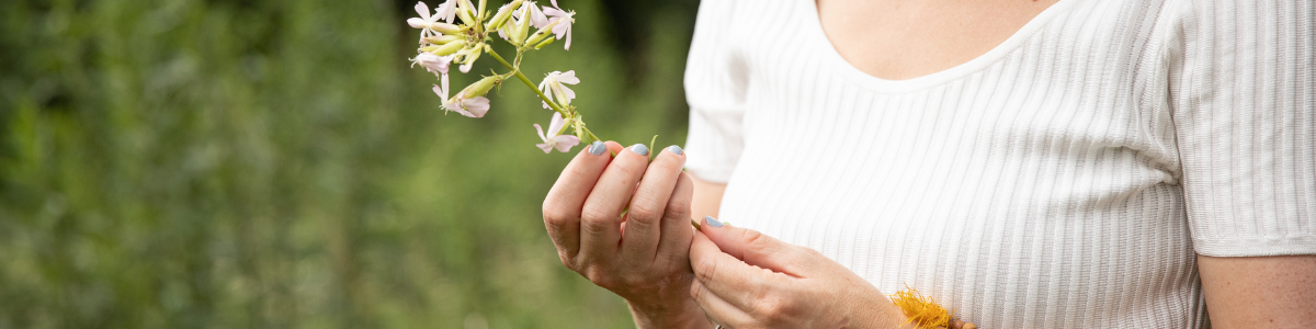Close-up of a person holding a small bunch of light pink and white flowers outdoors, with a blurred green background.