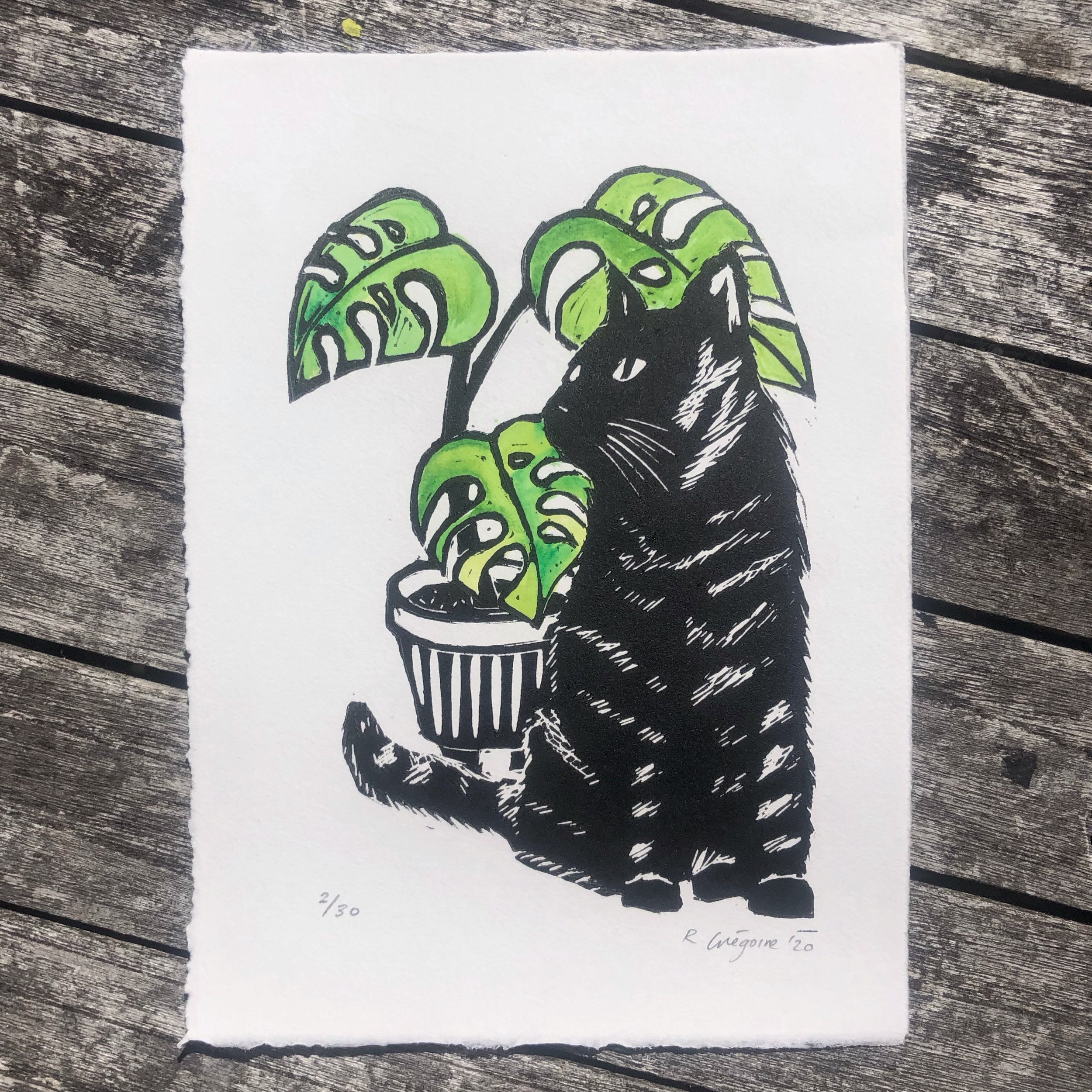 https://i.etsystatic.com/23058147/r/il/5d75fe/2396389272/il_fullxfull.2396389272_6e16.jpg