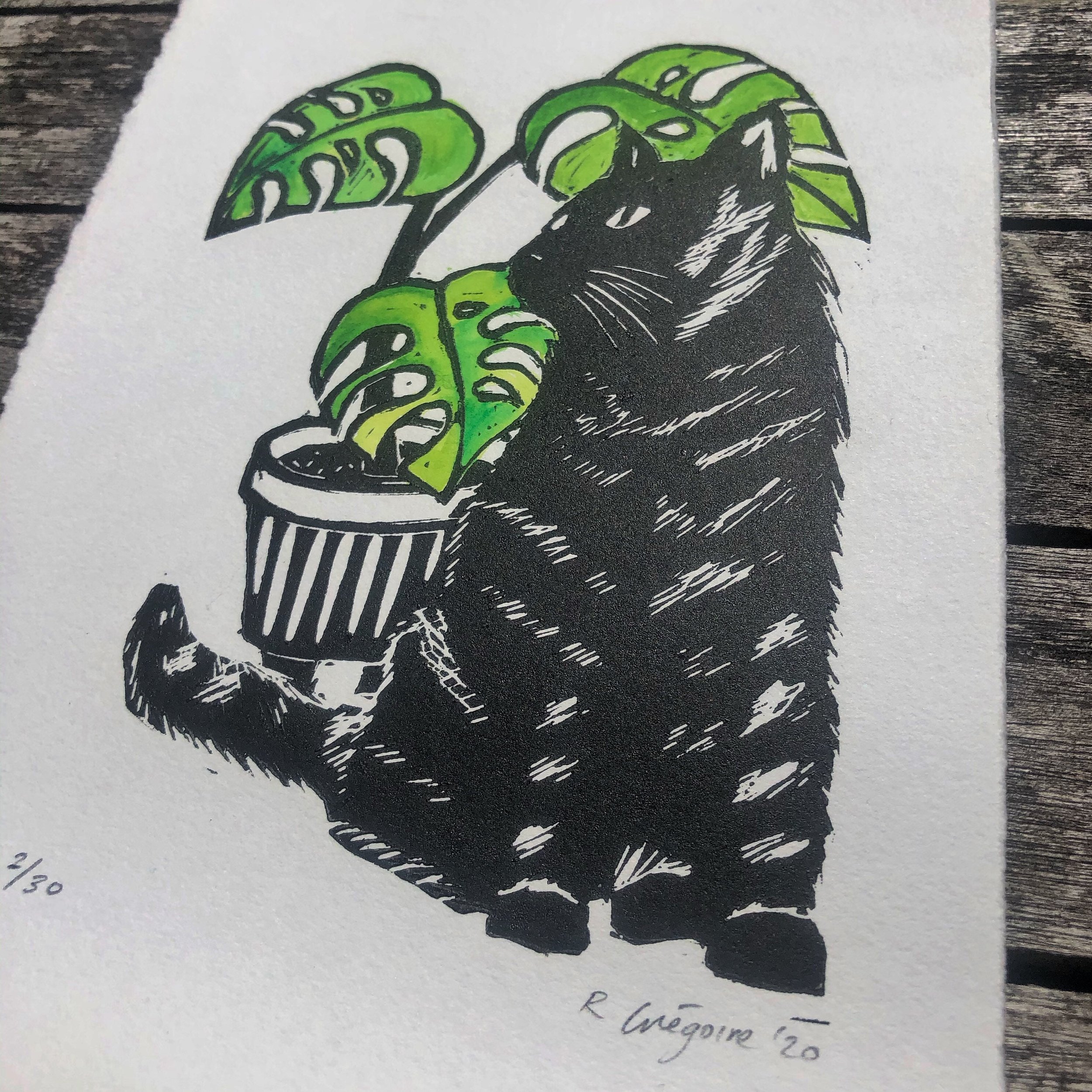 https://i.etsystatic.com/23058147/r/il/9b7355/2444001865/il_fullxfull.2444001865_spu7.jpg