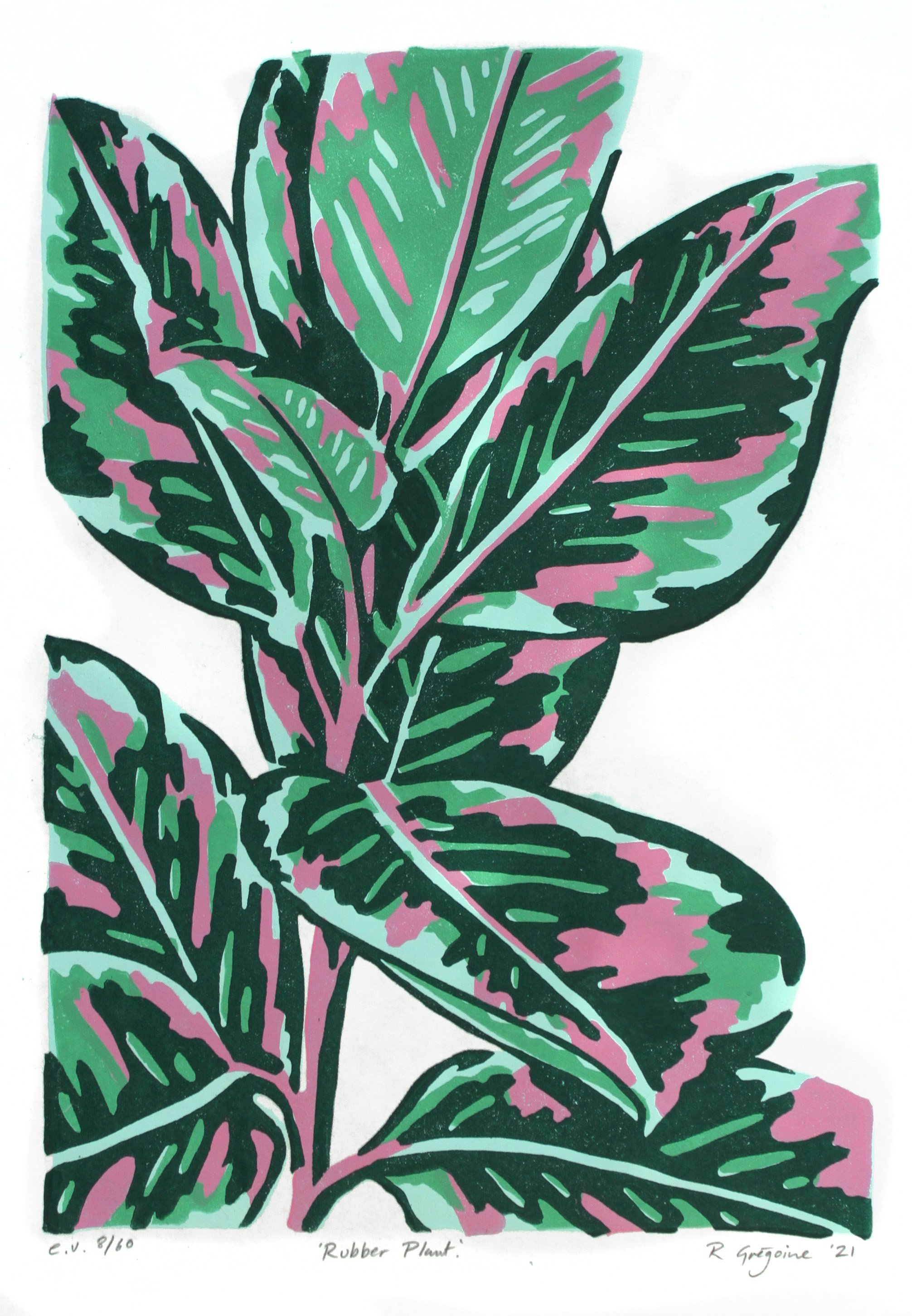 RubberPlantGreen.jpg