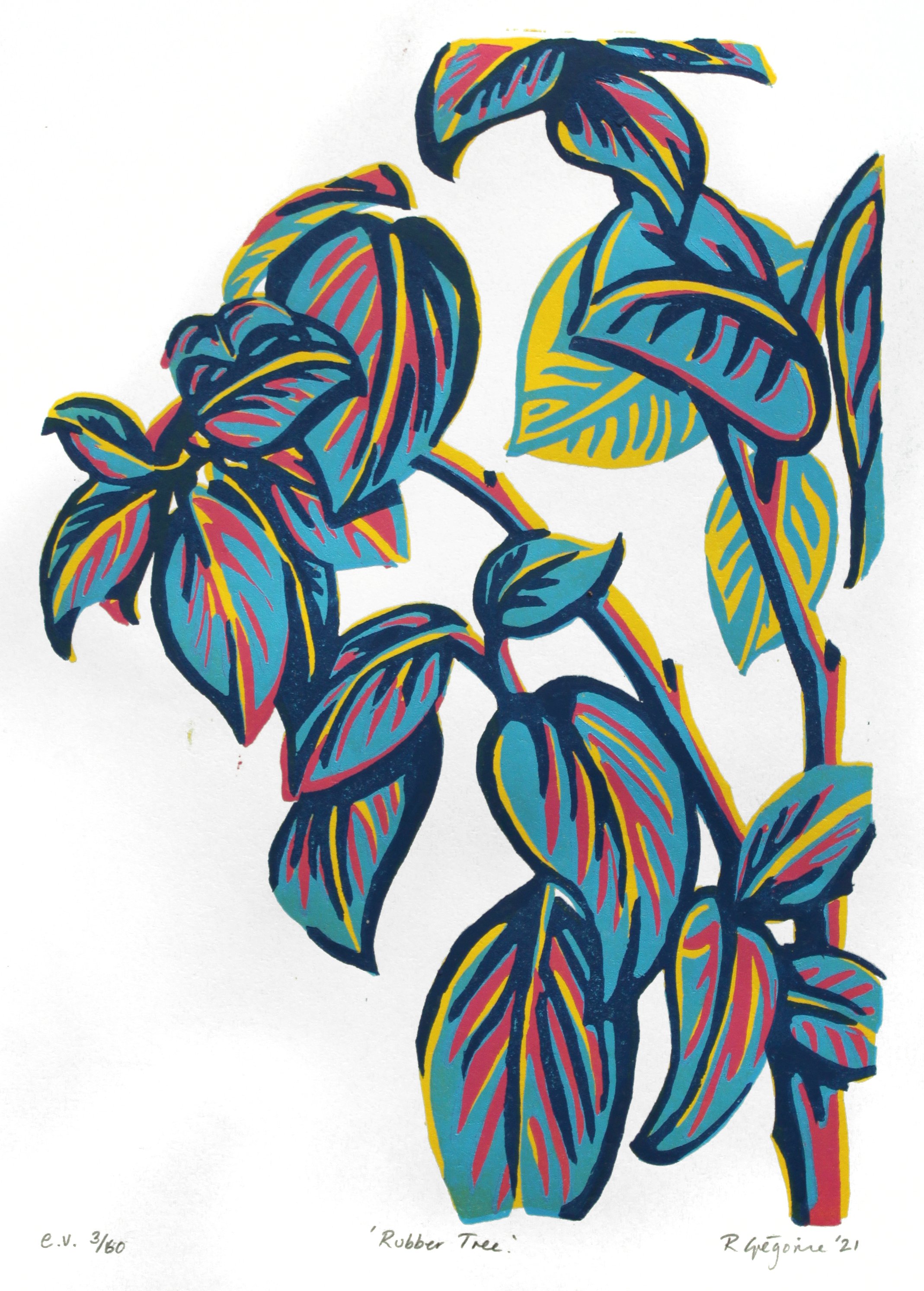 Rubber Tree Blue IMG_9737.jpg