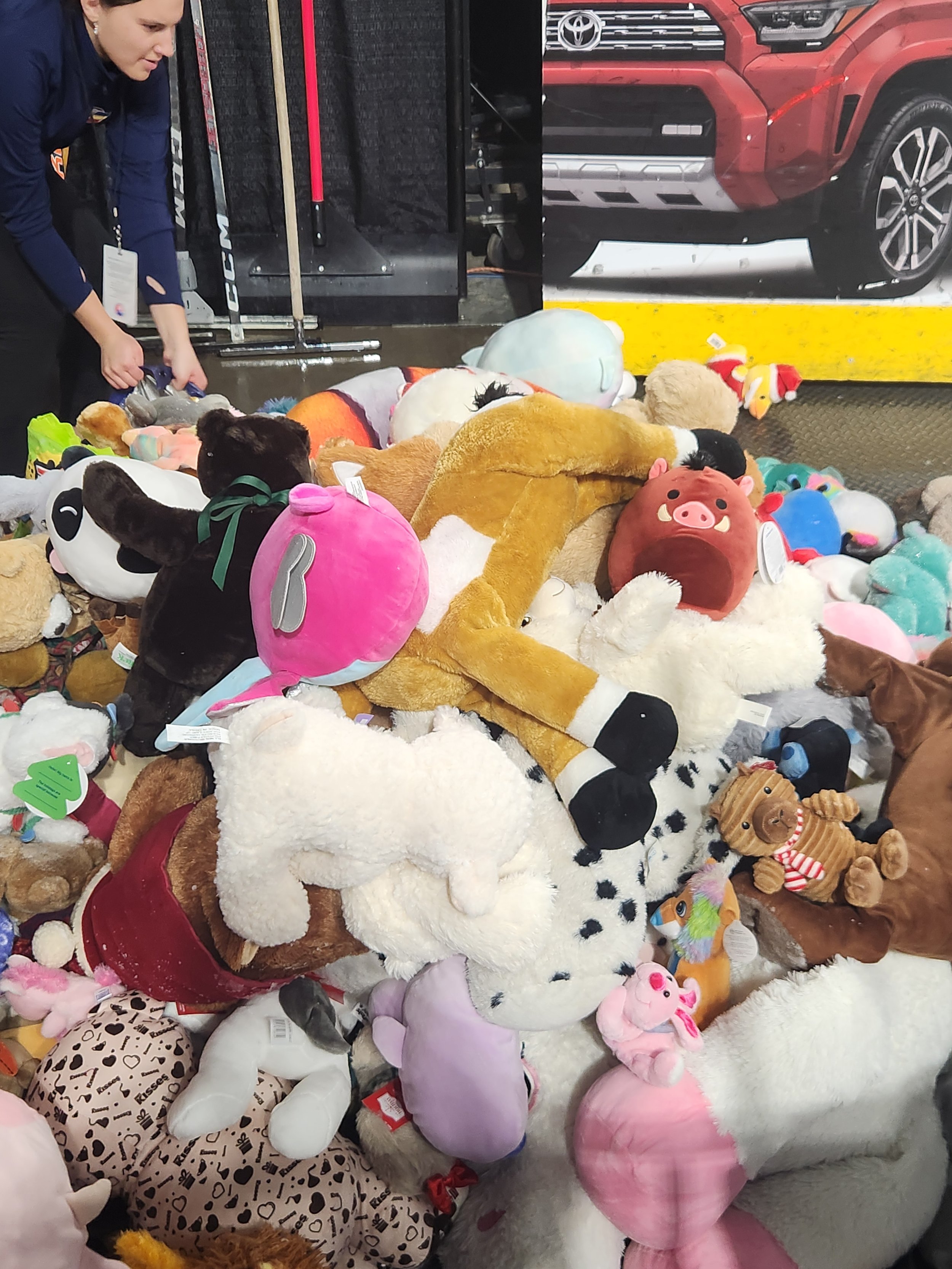 Teddy Bear Toss 2025