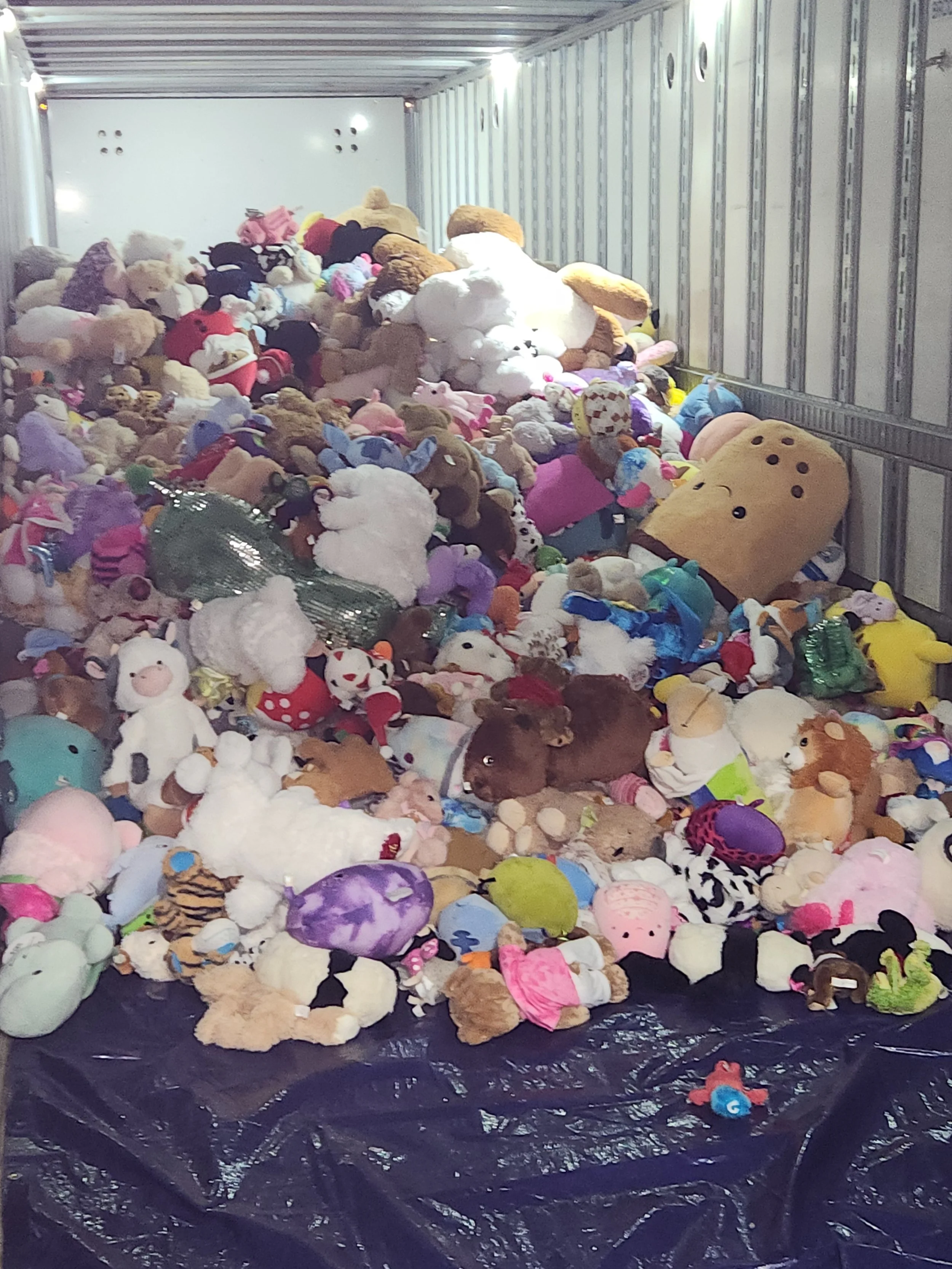 Teddy Bear Toss 2025