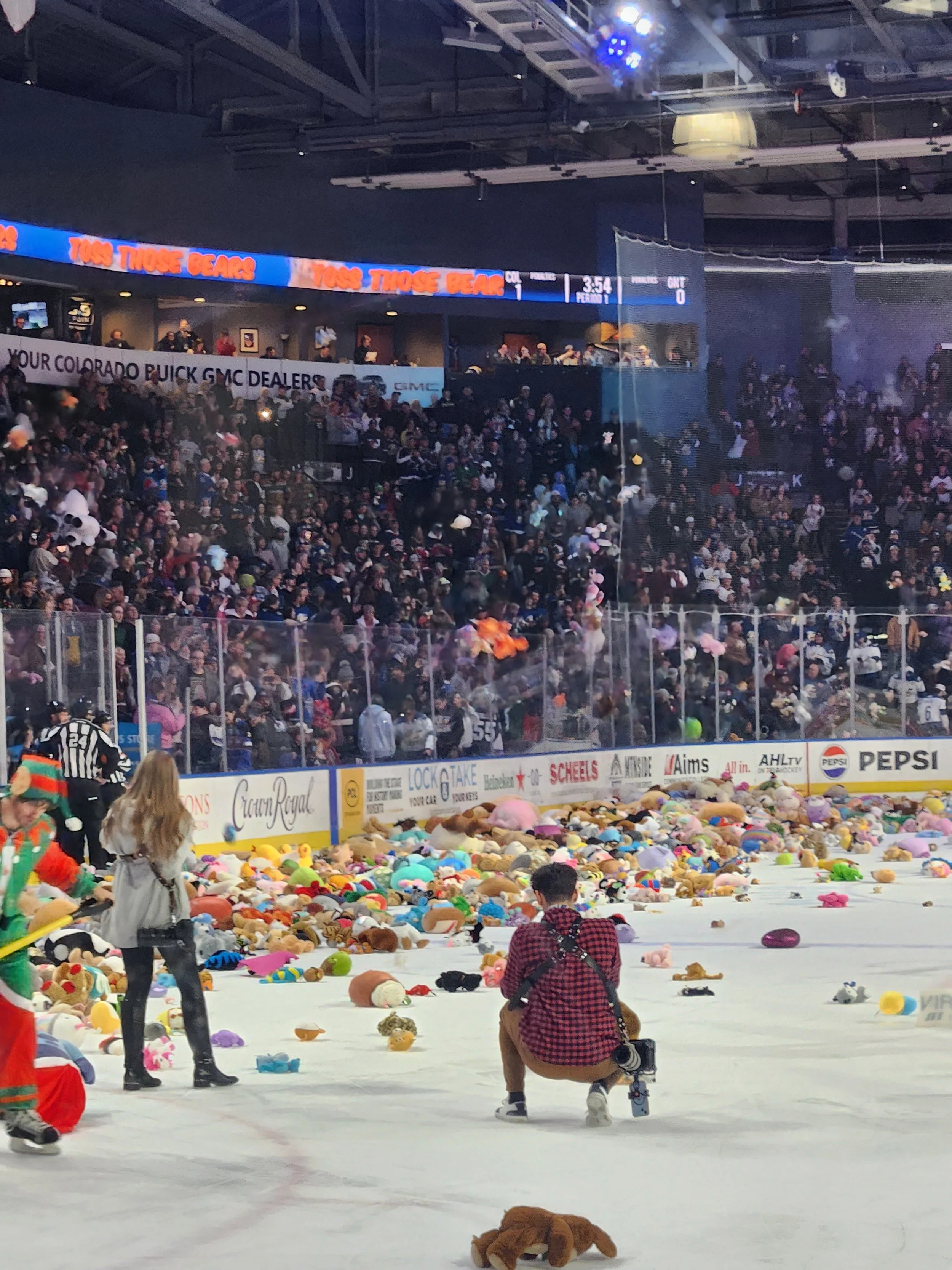 Teddy Bear Toss 2025