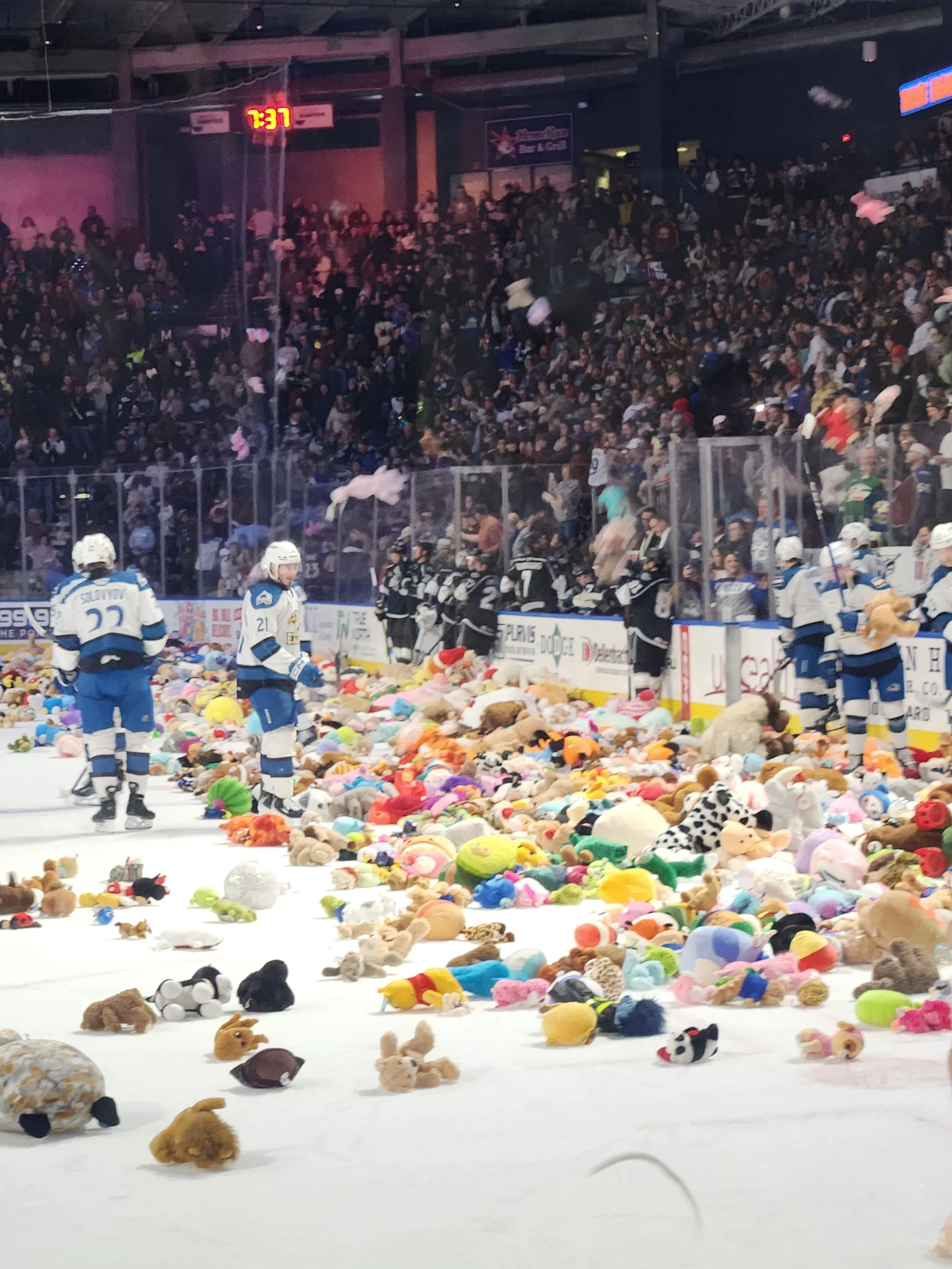 Teddy Bear Toss 2025