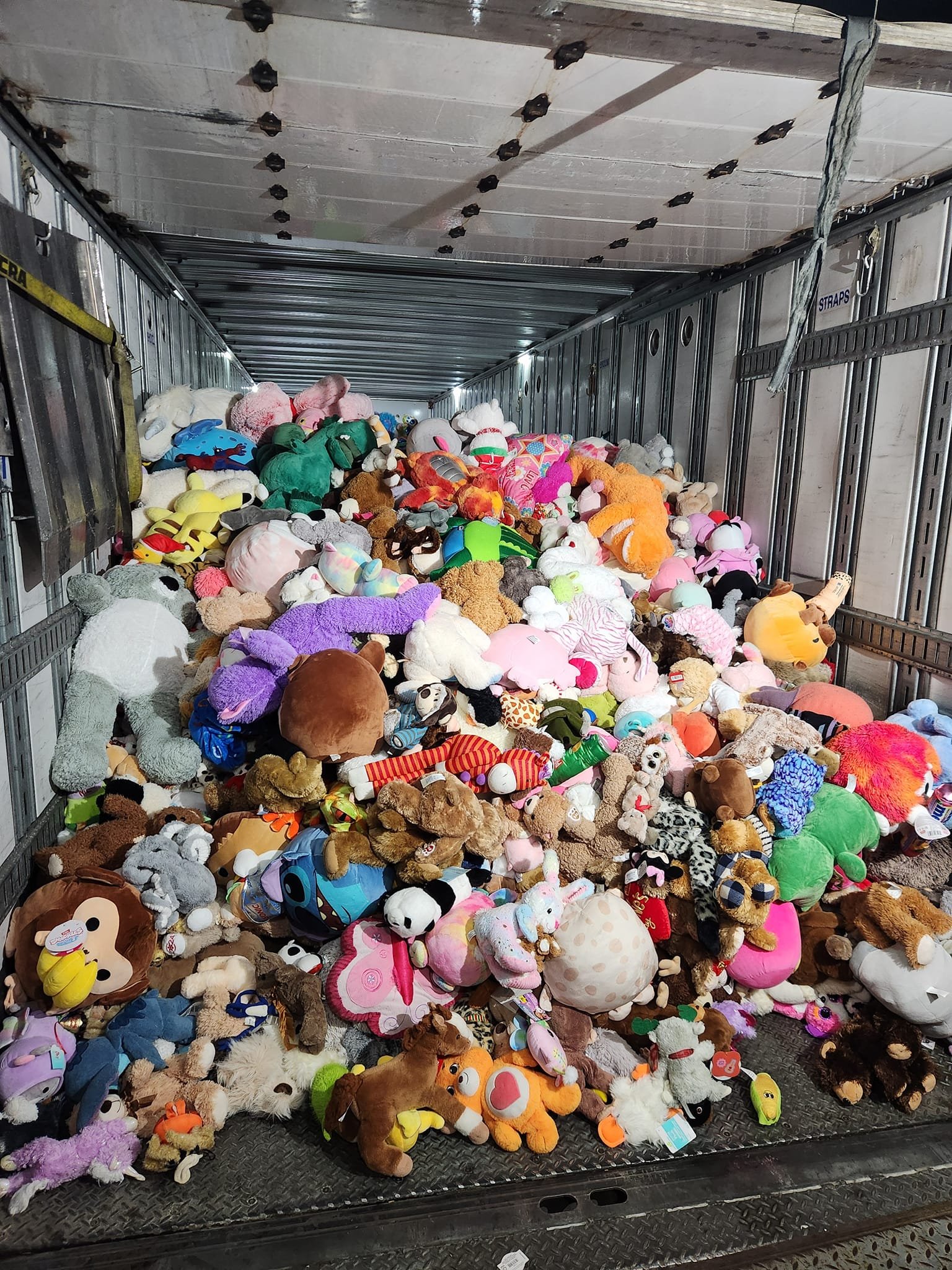 Bears.jpg