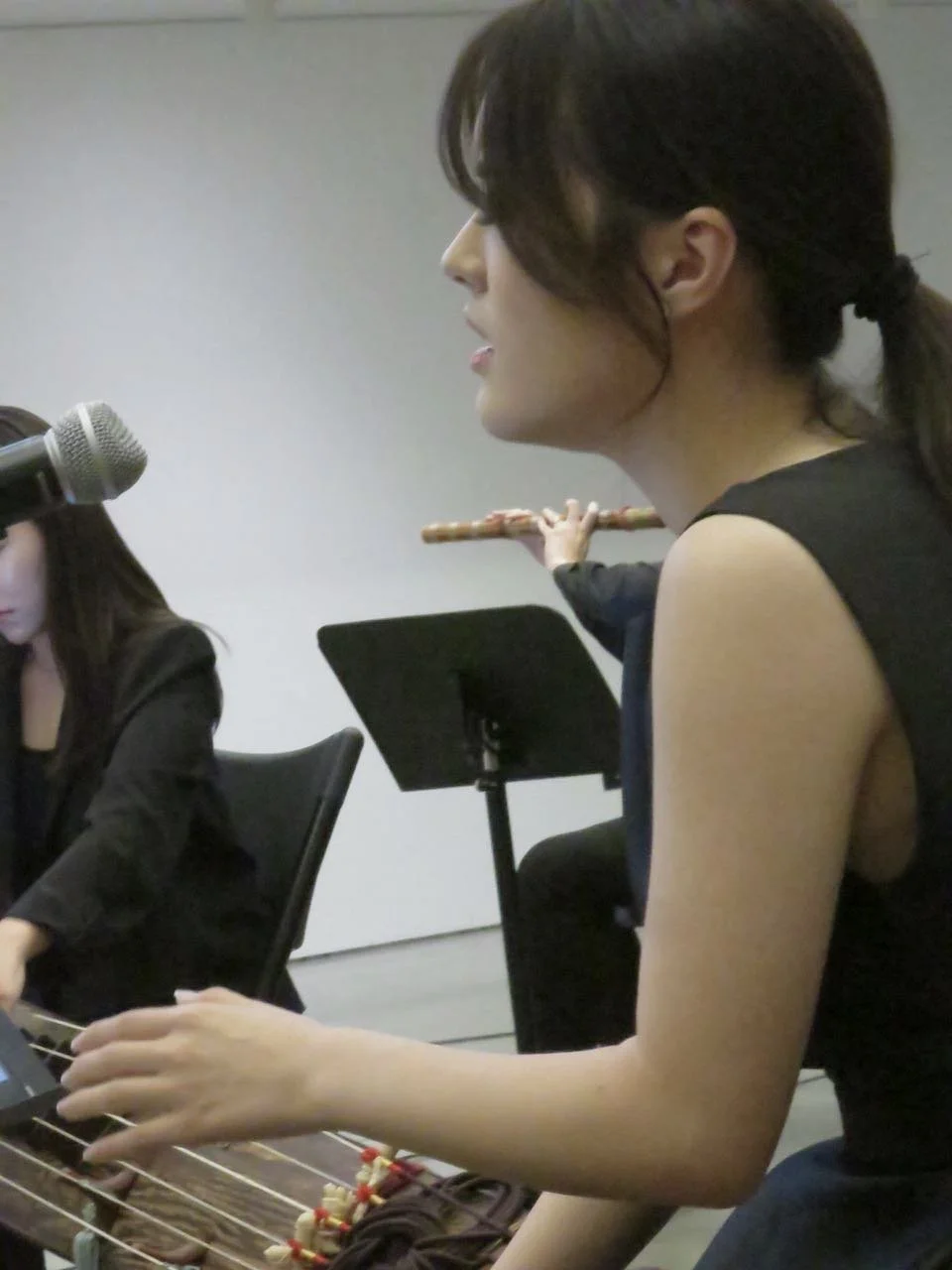 HCTAN Ensemble performs music of Christine Lee and Edward Schocker