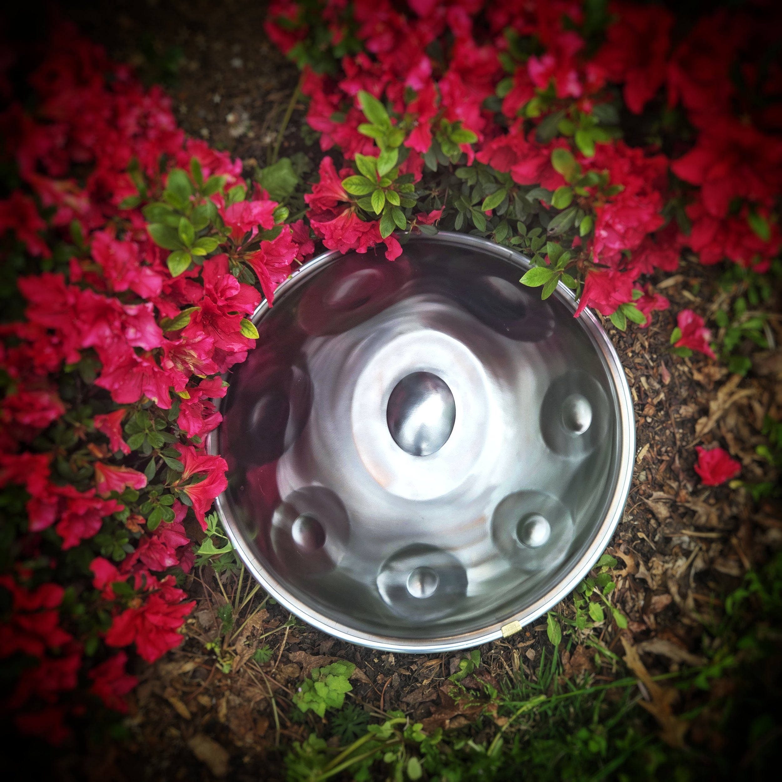 Silver Vortex Product Shot.jpg