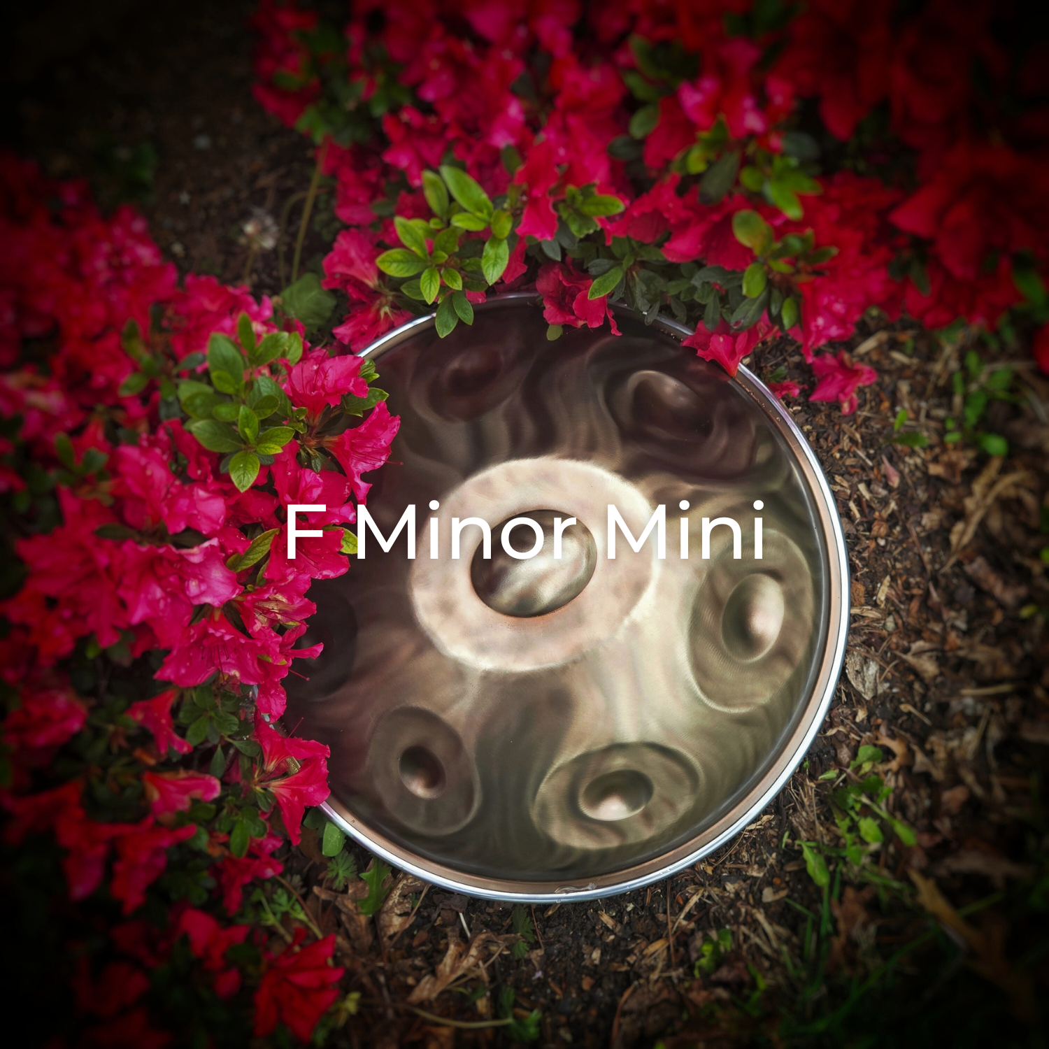 F Minor Mini Handpan