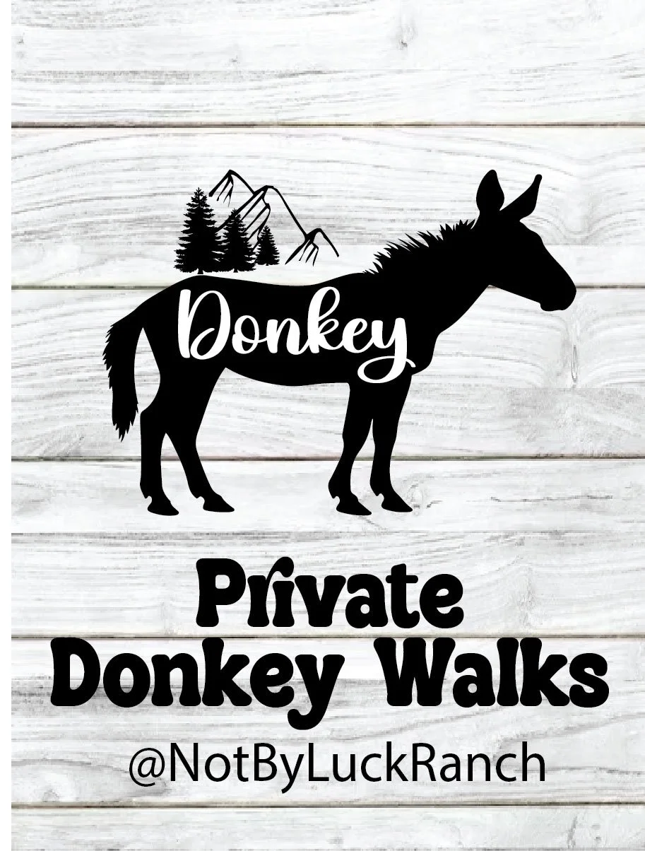 Private Donkey Walk