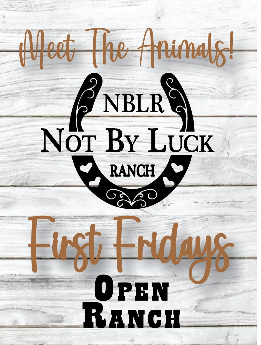 first friday open ranch for web.jpg