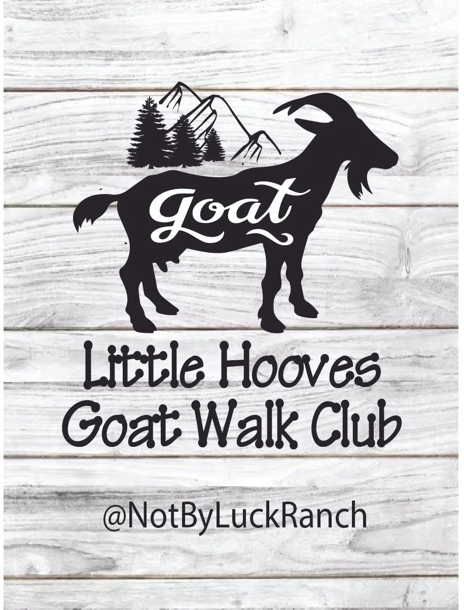 kids walk for web.jpg