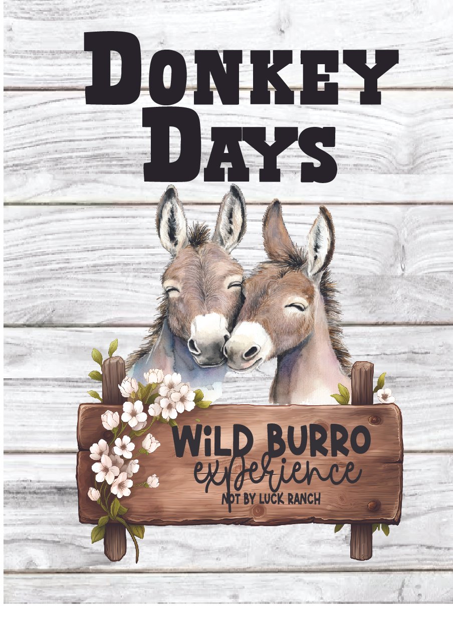 donkey days for web.jpg