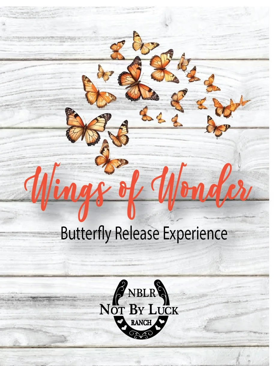 Wings of Wonder:  Butterfly Release Experience