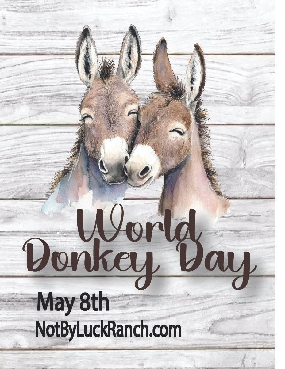 world donkey day for web.jpg