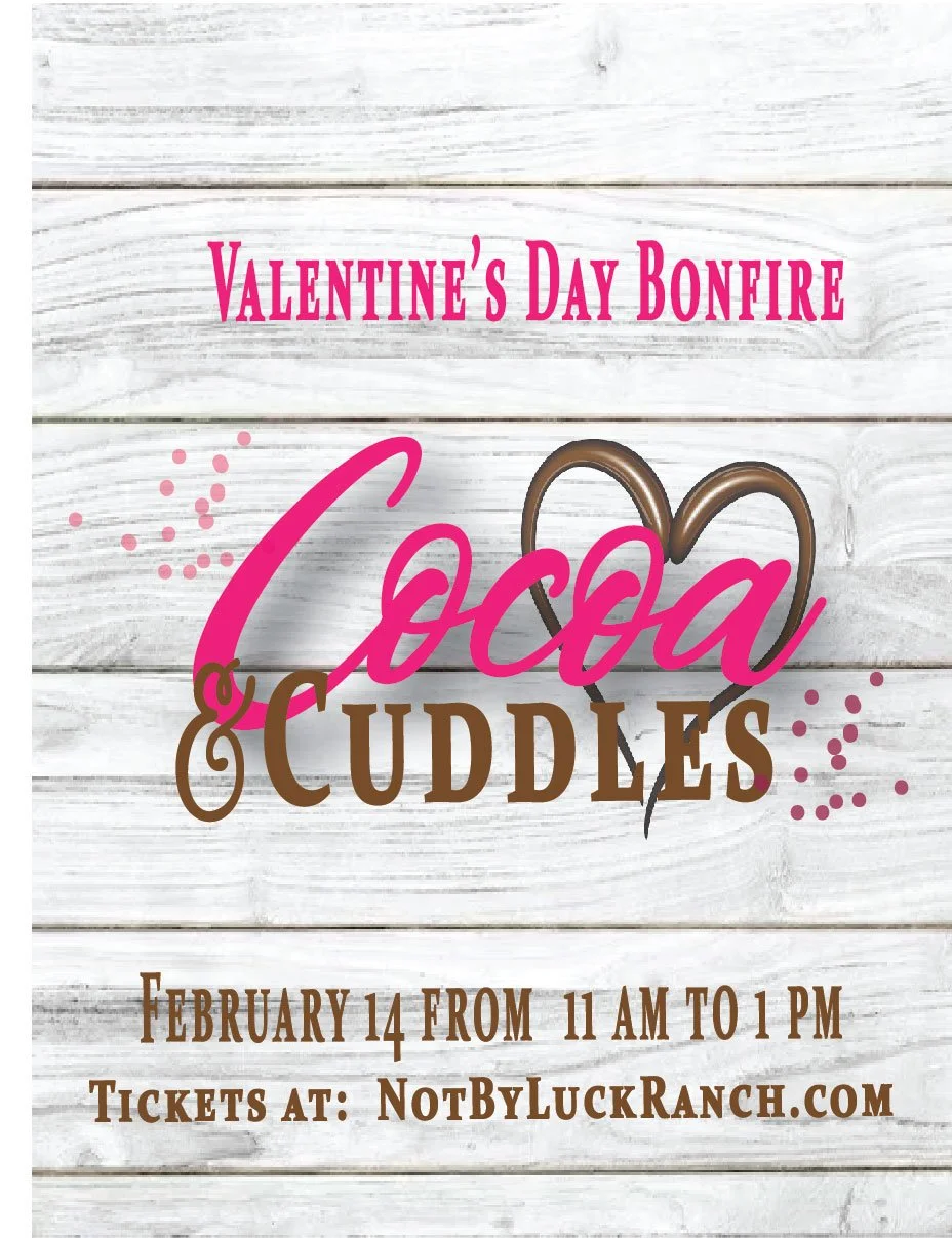 2026 Cocoa & Cuddles Bonfire