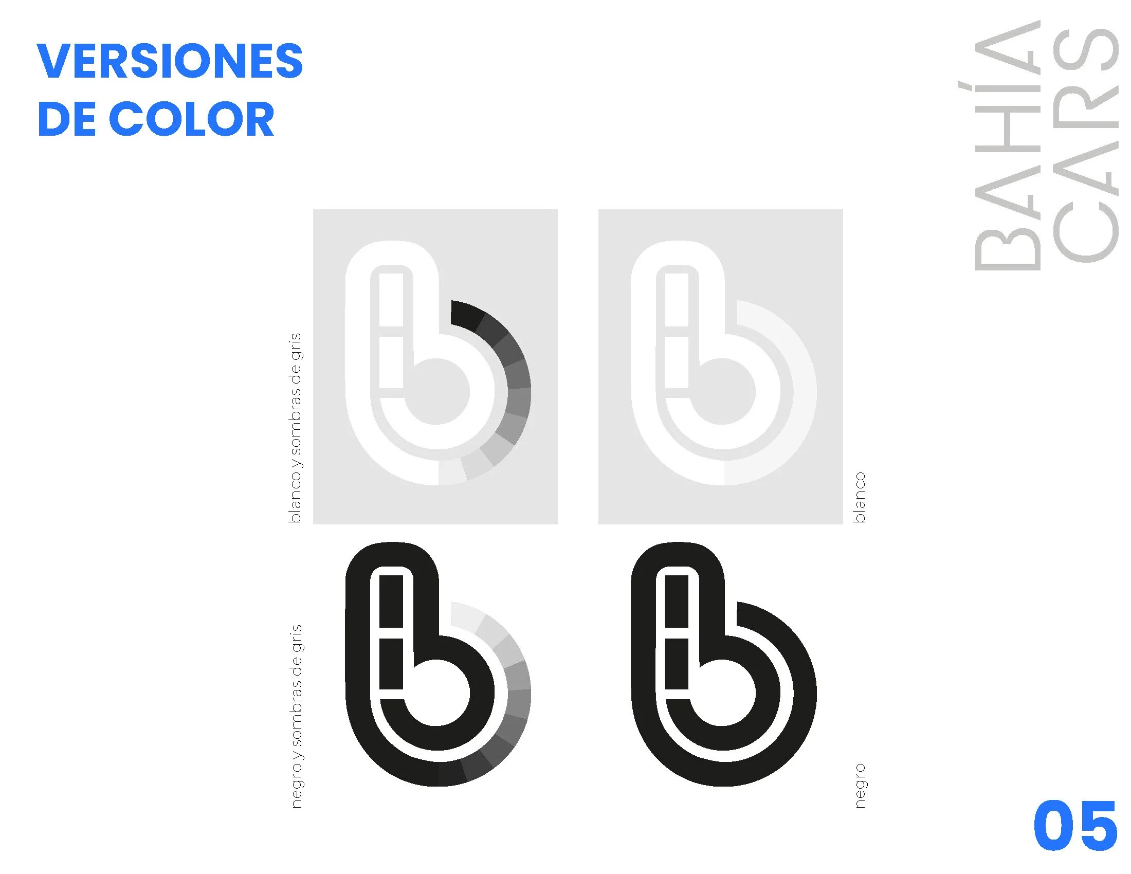 Bahia Cars Brandboard_Page_06.jpg