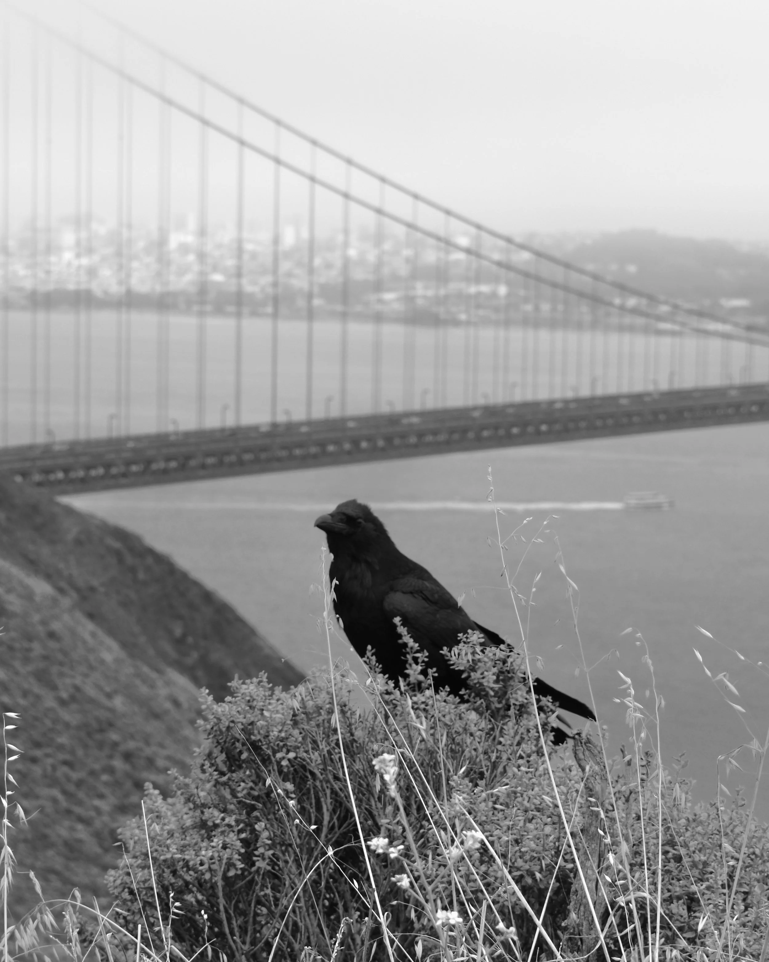 DSC_0288.jpeg