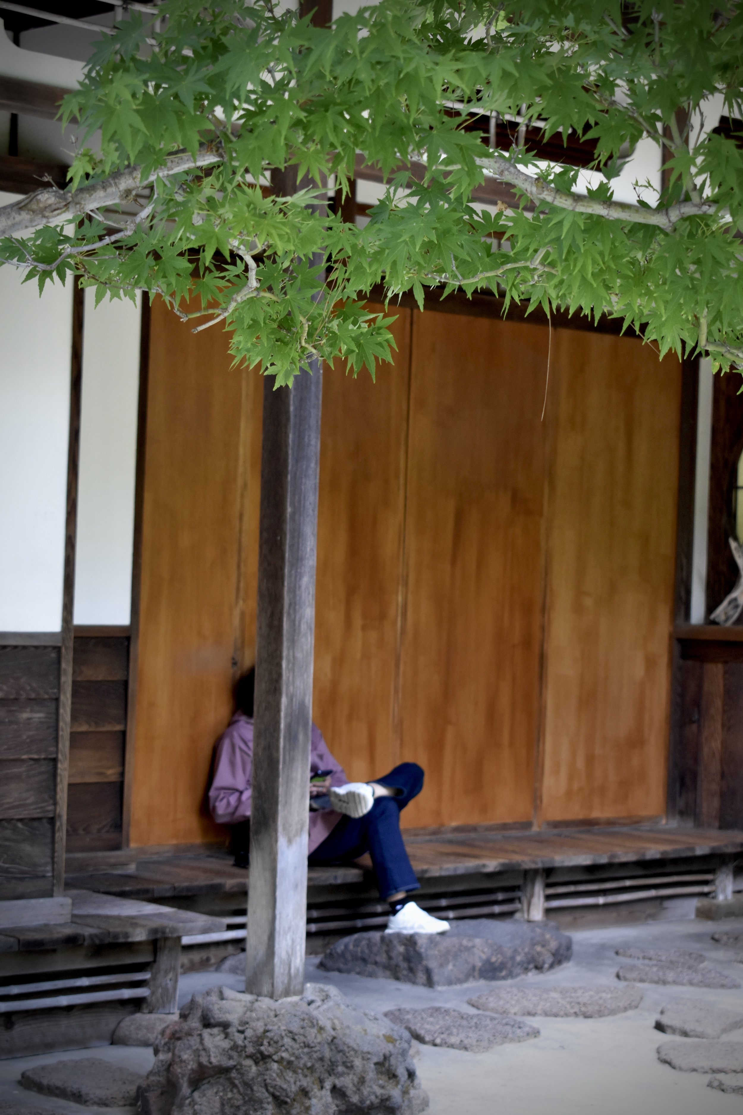 DSC_0241.jpeg
