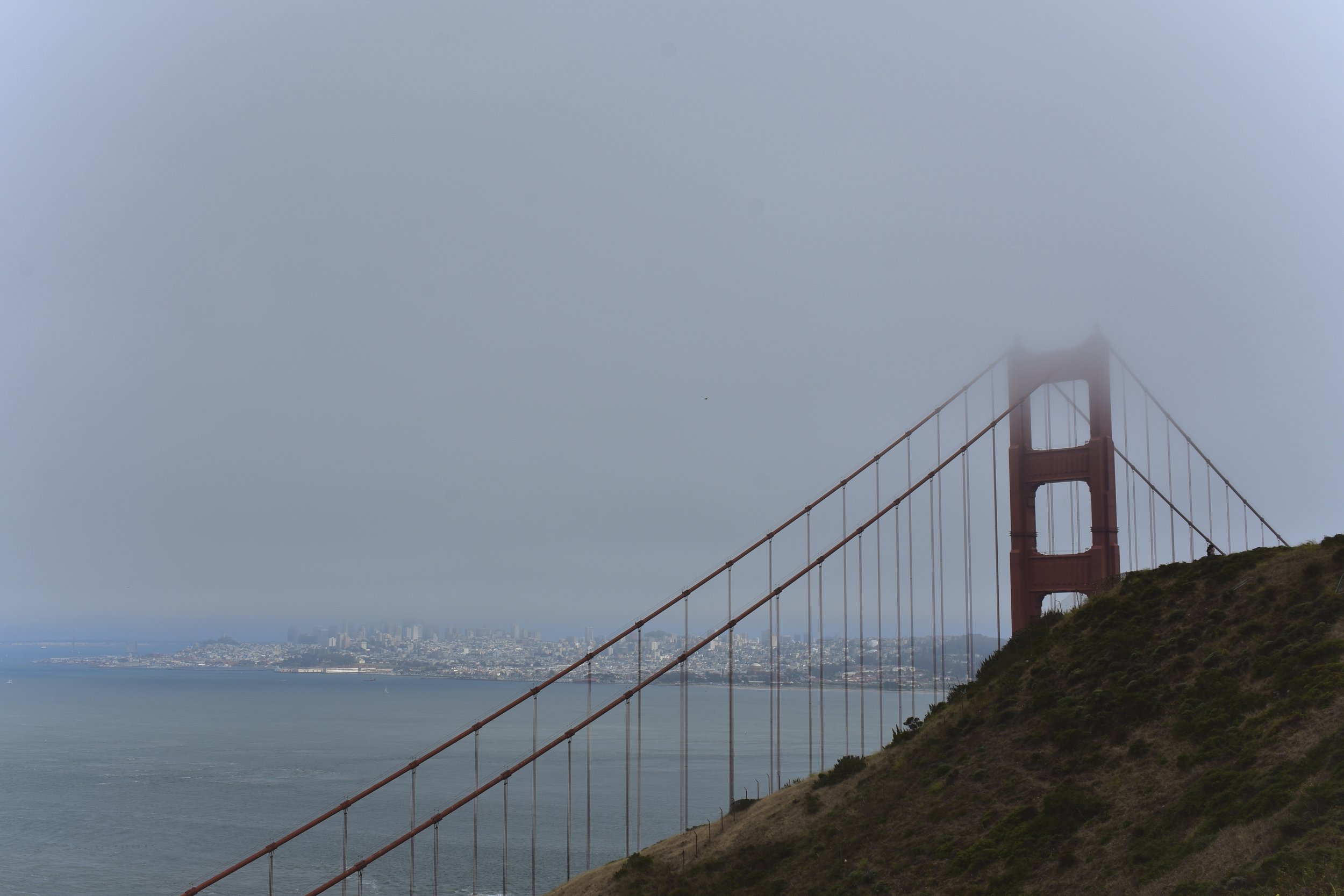 DSC_0243.jpeg