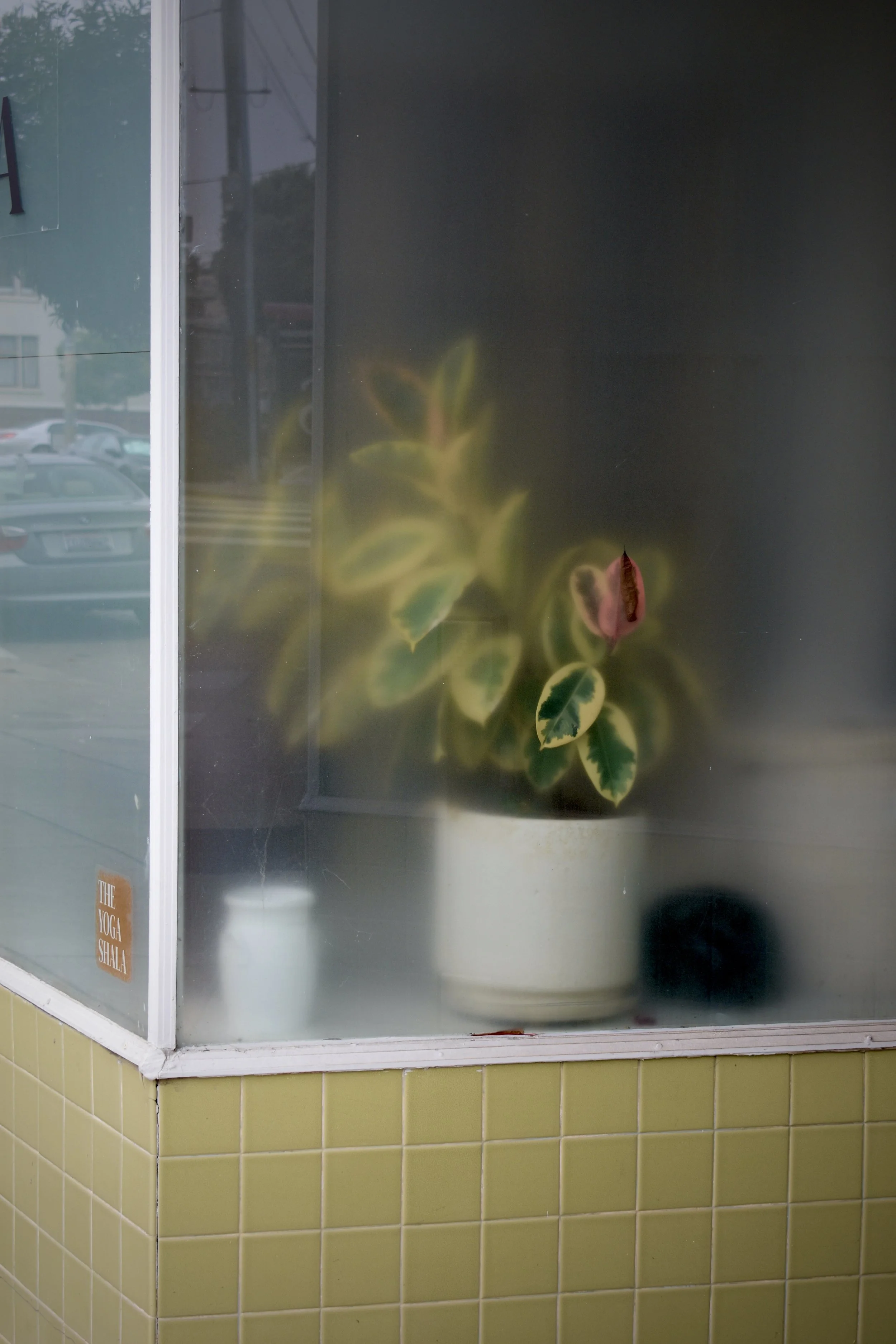 DSC_0341.jpeg