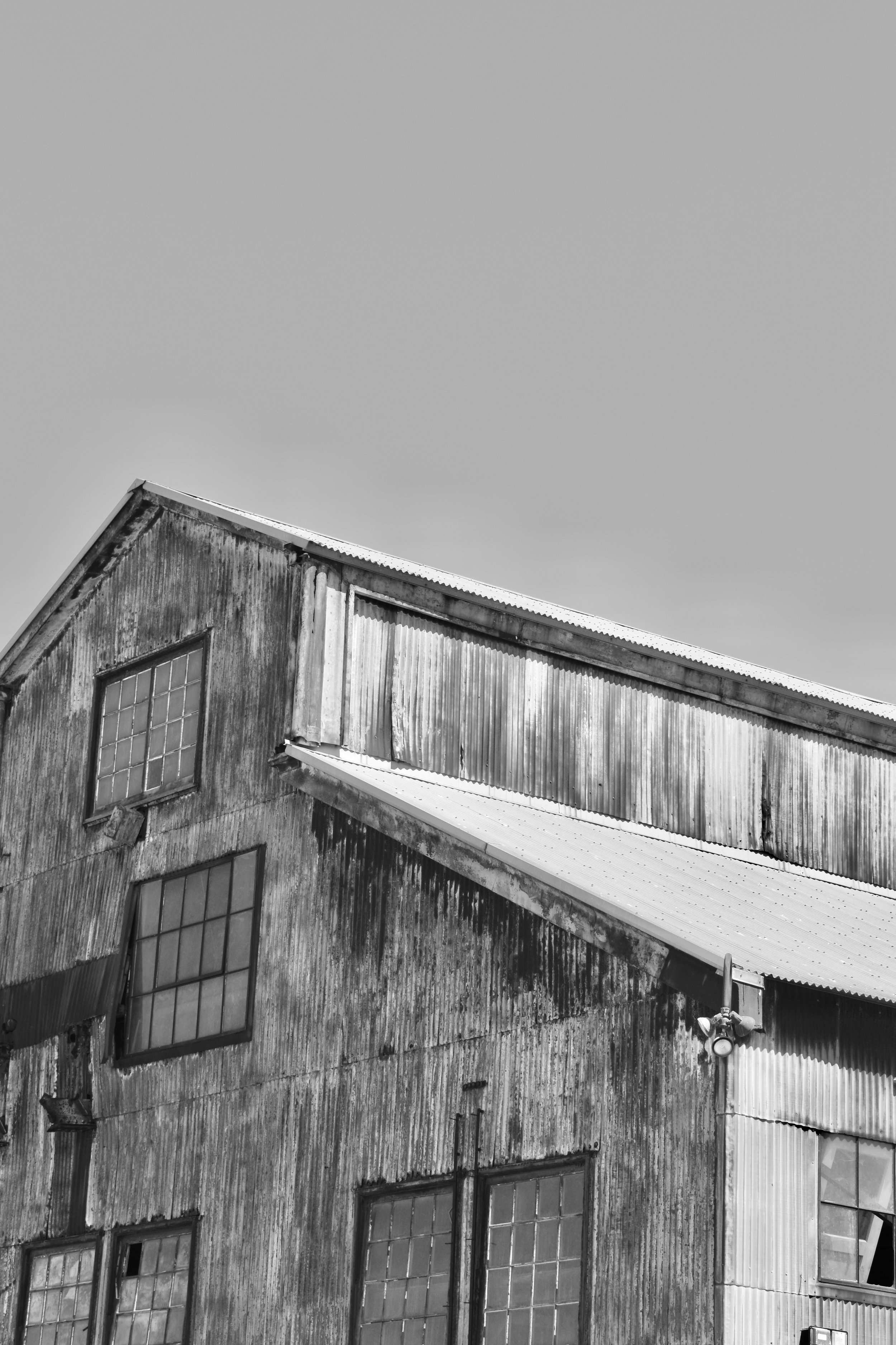 DSC_0245.jpeg