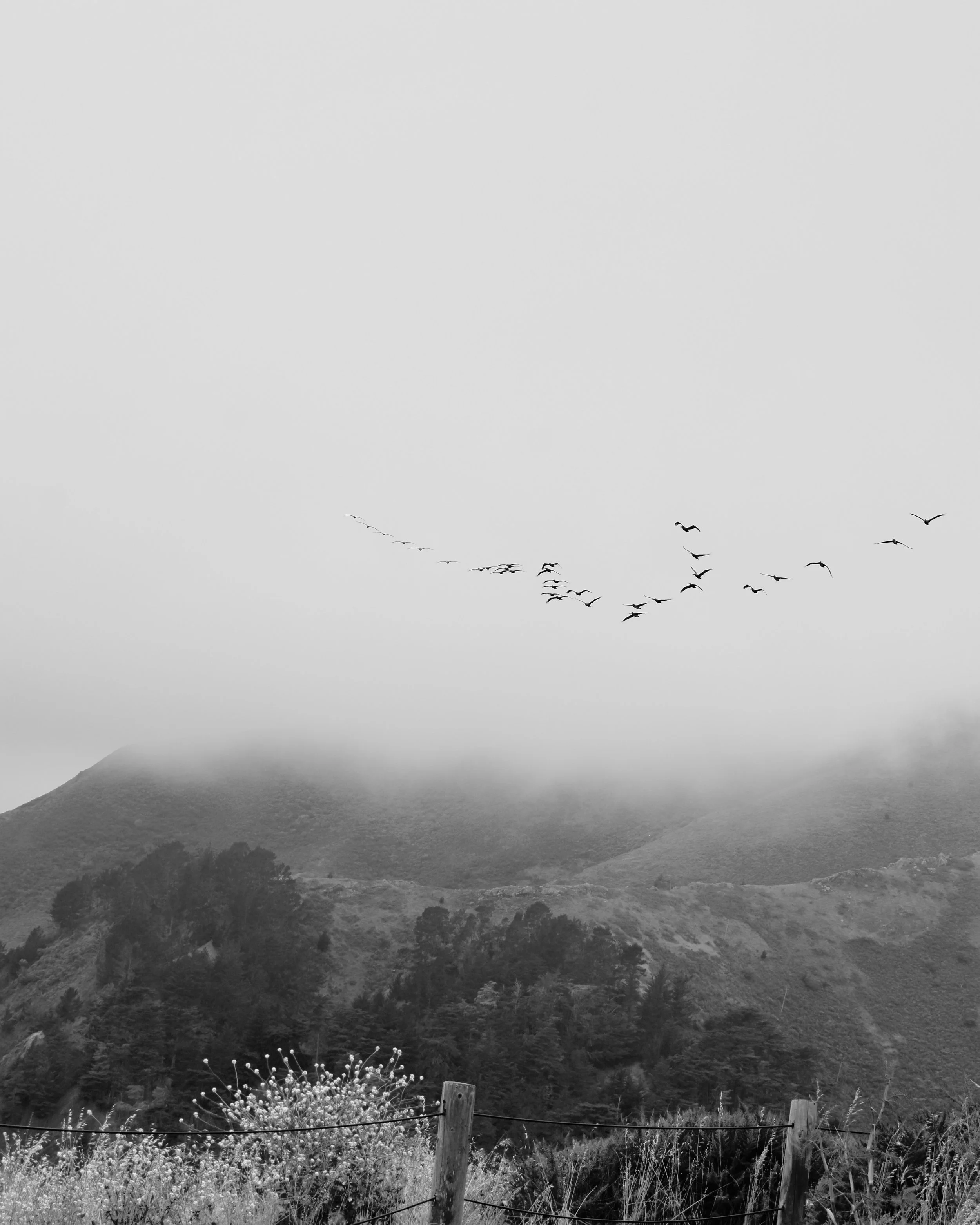 DSC_0257.jpeg