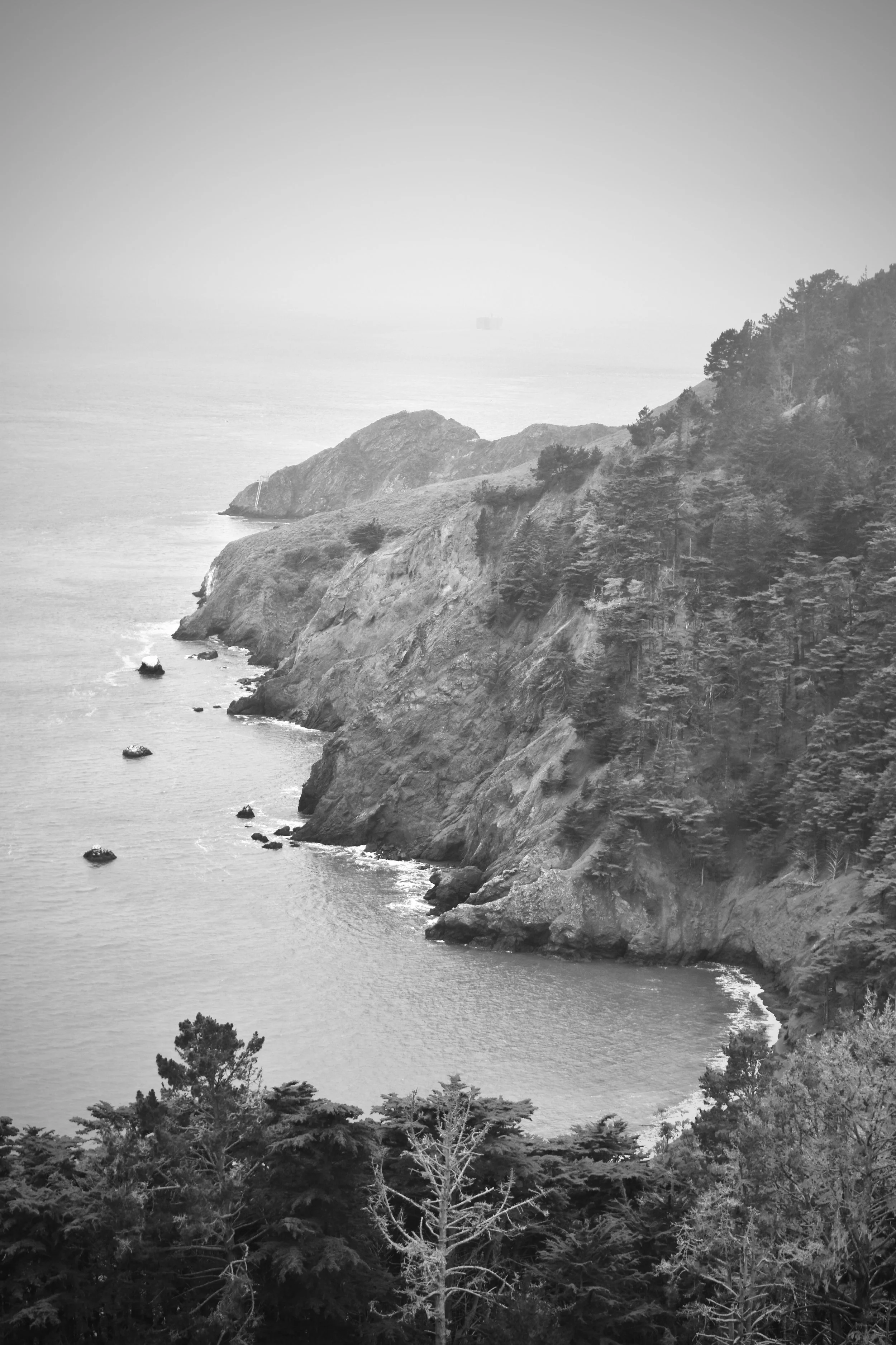 DSC_0293.jpeg