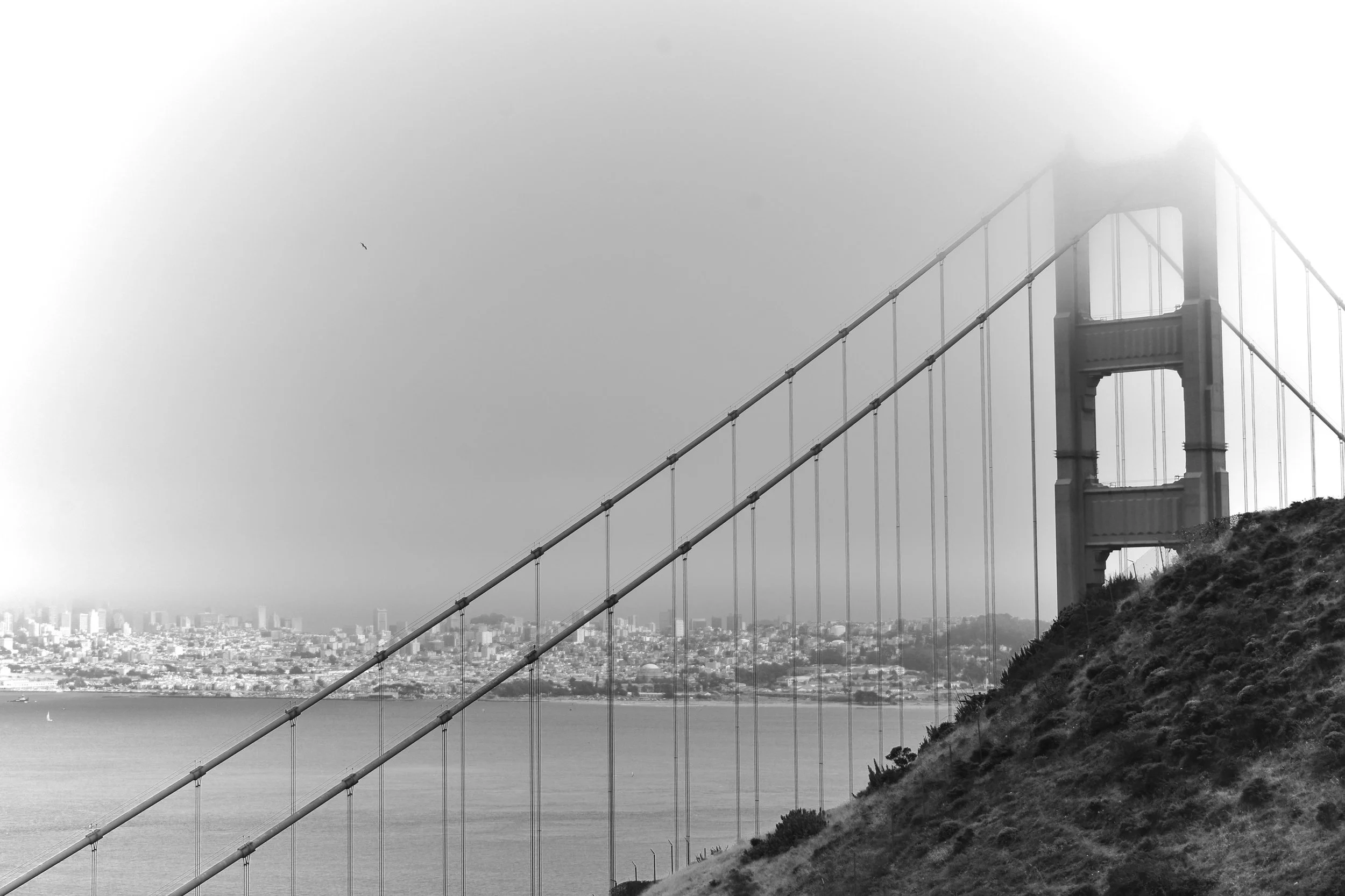 DSC_0242.jpeg