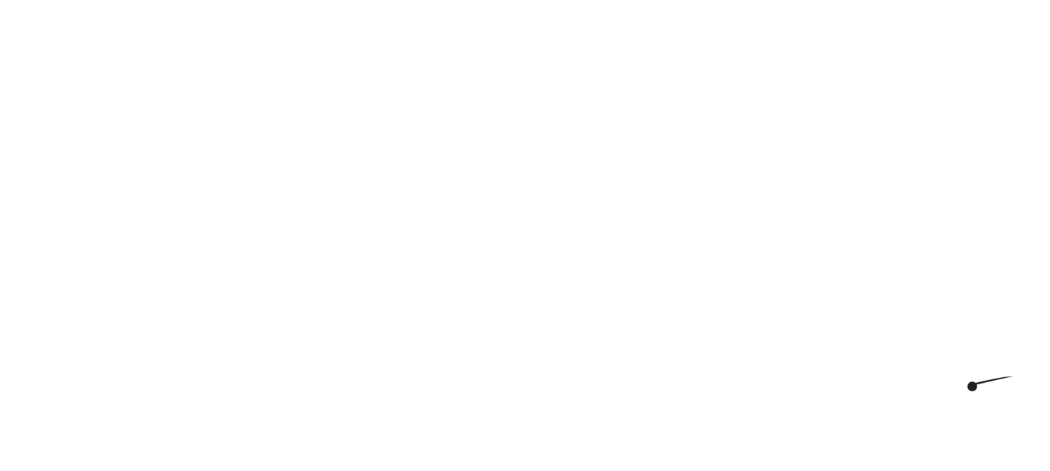 Lansing Copywriting