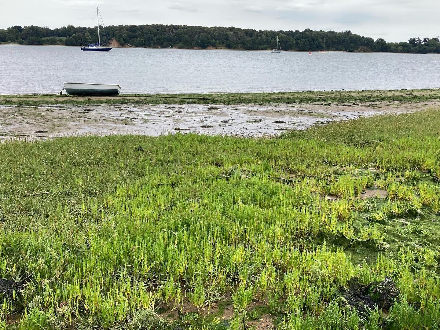 Pin mill, Suffolk&hellip;
Green hues, silent blues, still calm, open space, skies reach, natures peace. 

Love it here 
#suffolk #beautifulinspiration #placesthatinspire #artistinspiration #photosofplaces #suffolkartist #coloursthatinspire #abstracta