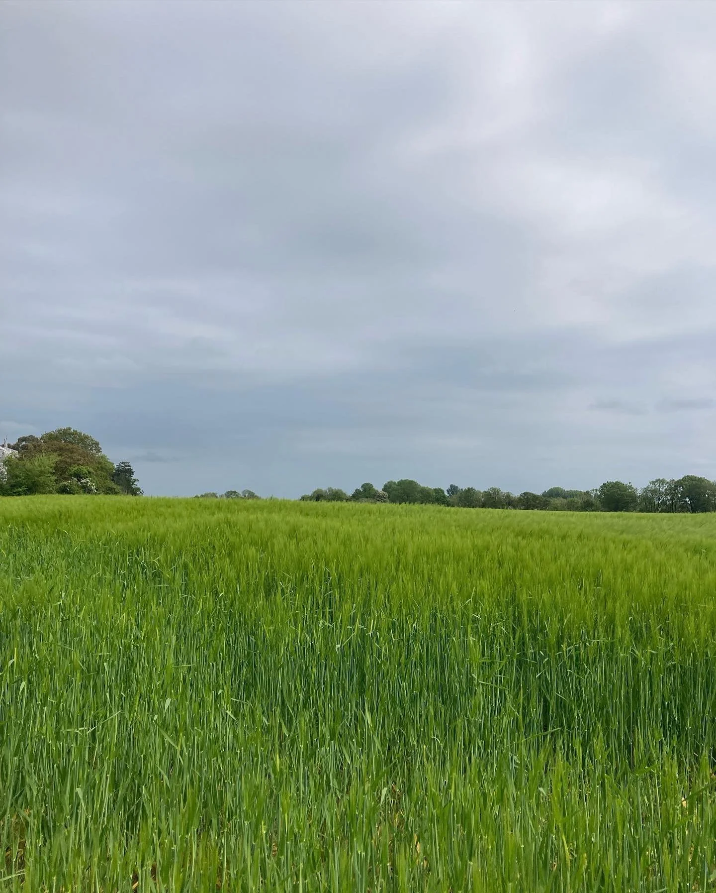 A year full of horizons&hellip;just flicked through my photos and smiled, the horizon line has had a lot of my attention this year and my painting has been reflecting it. Looking forward to see where it leads.

#abstractart #abstractideas #abstractth